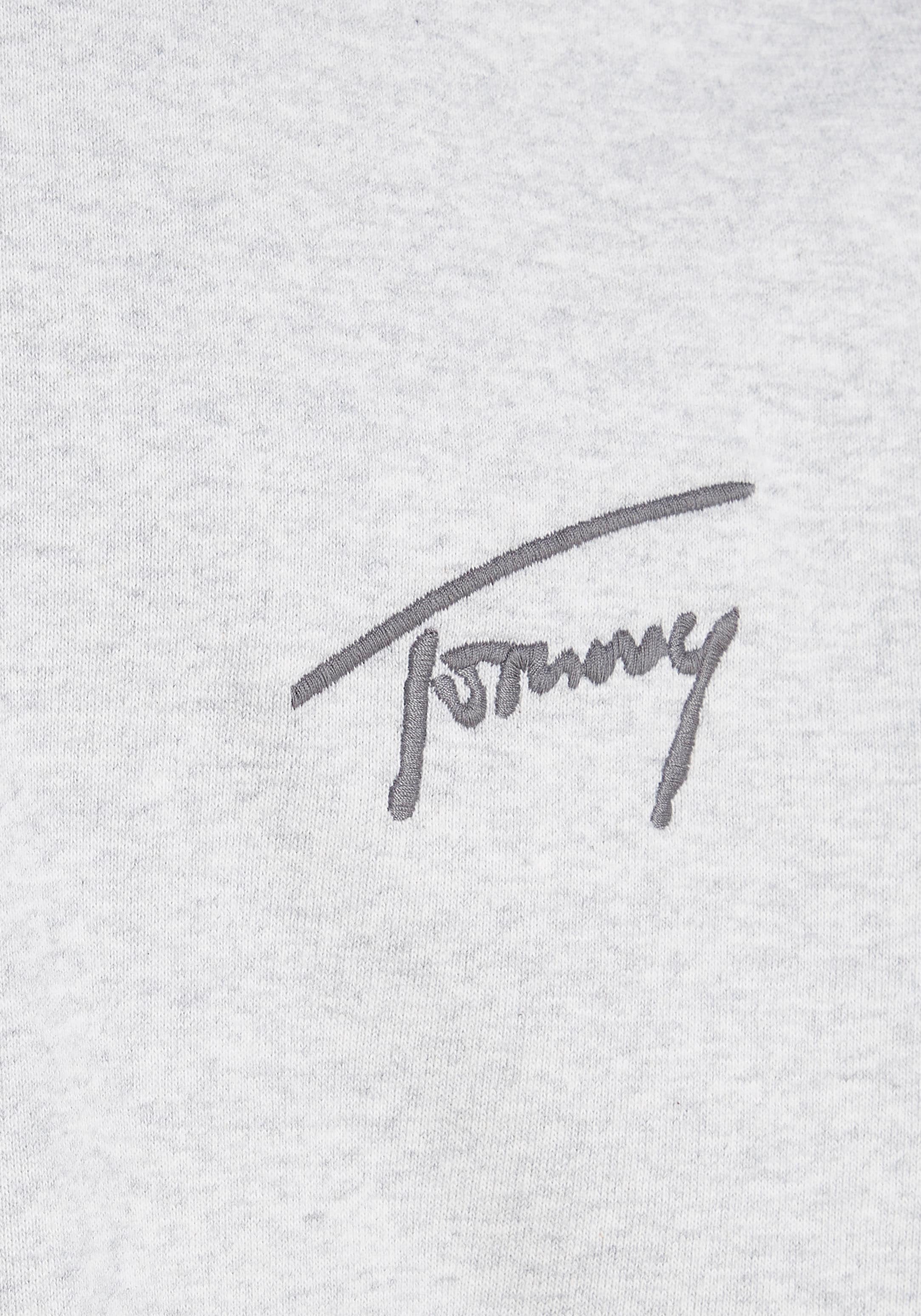 Tommy Jeans Plus Kapuzensweatshirt »TJM RLX SIGNATURE HOODIE EXT«, Große Größen