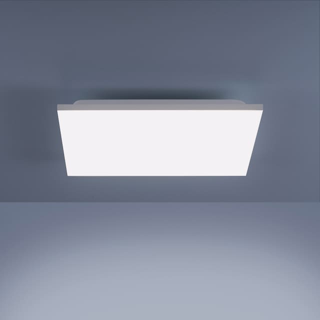 my home LED Deckenleuchte »Floki«, 2 flammig-flammig, rahmenlos, mit CCT  und RGB Backlight, dimmbar Deckenlampe online kaufen | mit 3 Jahren XXL  Garantie