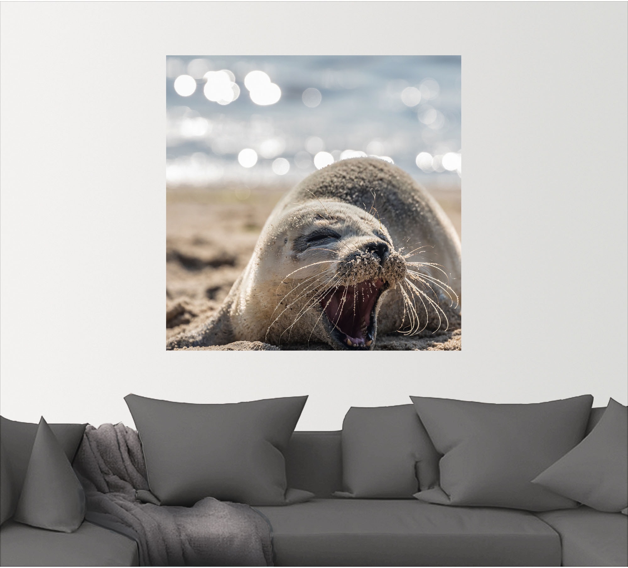 Artland Wandbild »Baby-Robbe am Strand von List, Sylt«, Robben, (1 St.), als Poster, Wandaufkleber in verschied. Größen