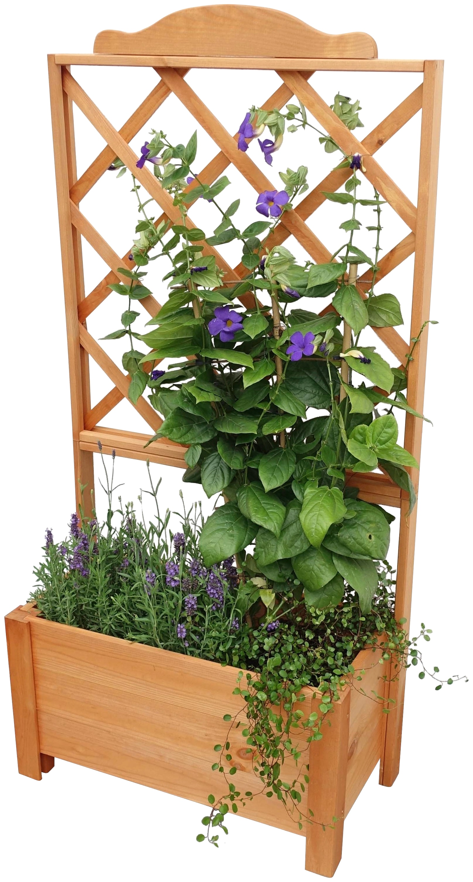 promadino Spalier mit Pflanzkasten, BxTxH: 69x32x140 cm