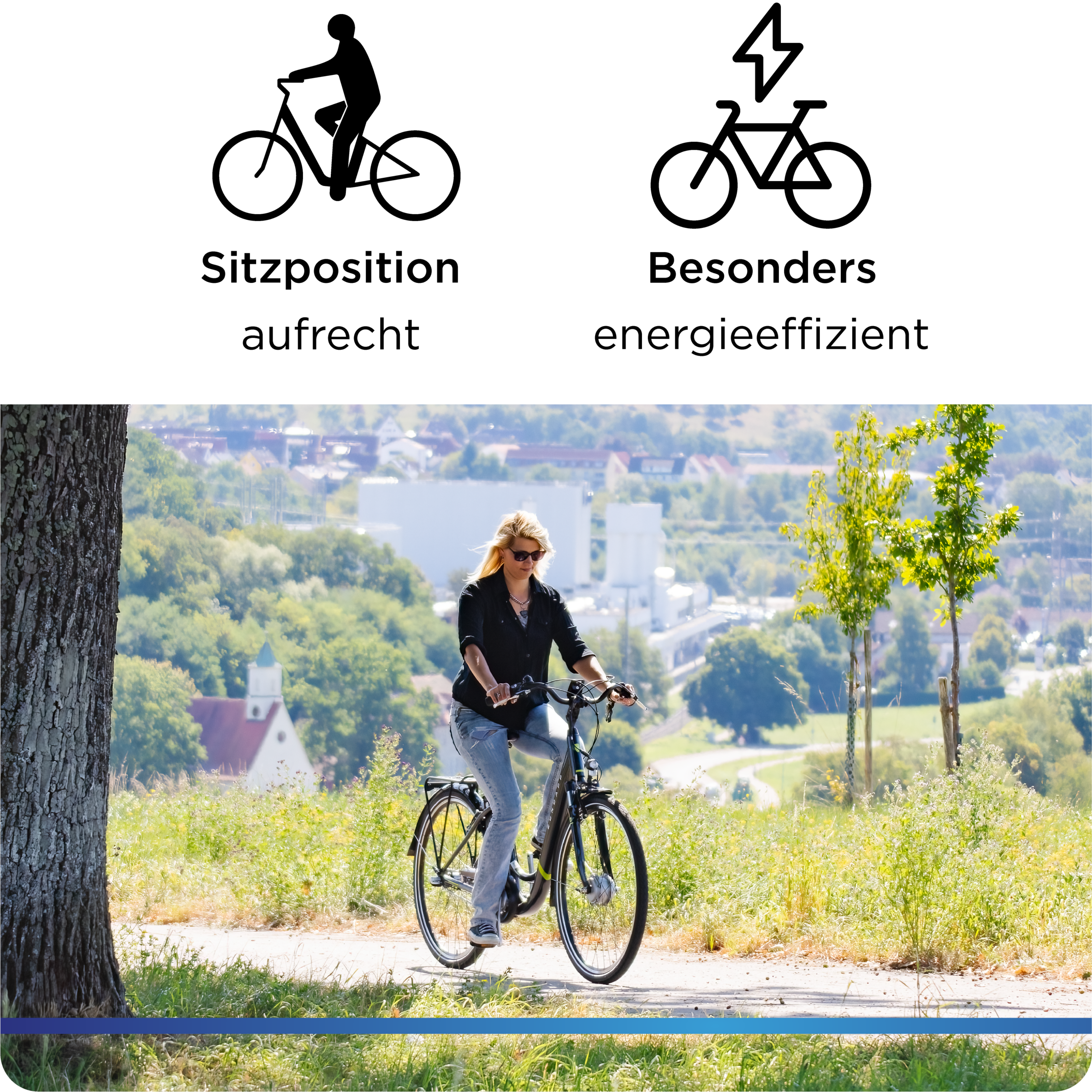 Zündapp »Z510« 3 Gang Shimano Nexus  SC-3C41 Schaltwerk Nabenschaltung Frontmotor 250 W Pedelec, Elektrofahrrad für Damen u. Herren
