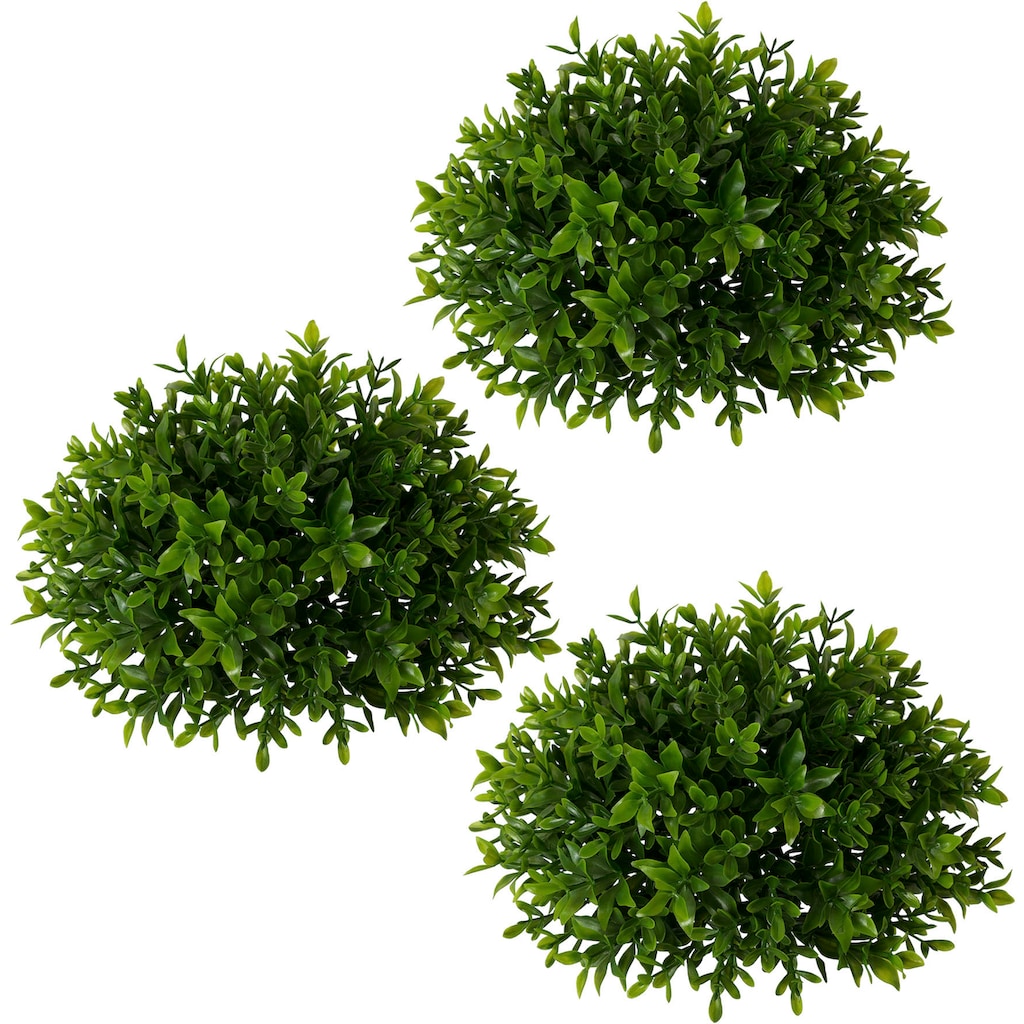 Creativ green Kunstpflanze »Buchsbaumhalbkugel«, 3er Set