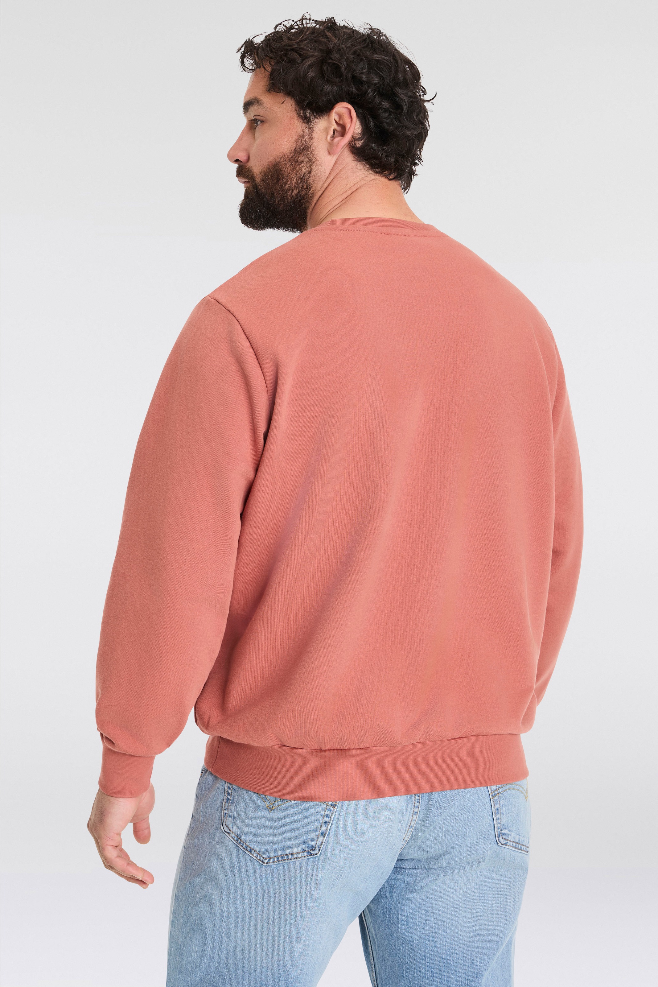Levi's® Plus Sweatshirt »BIG ORIGINAL HM CREW«, mit Batwing-Logobadge