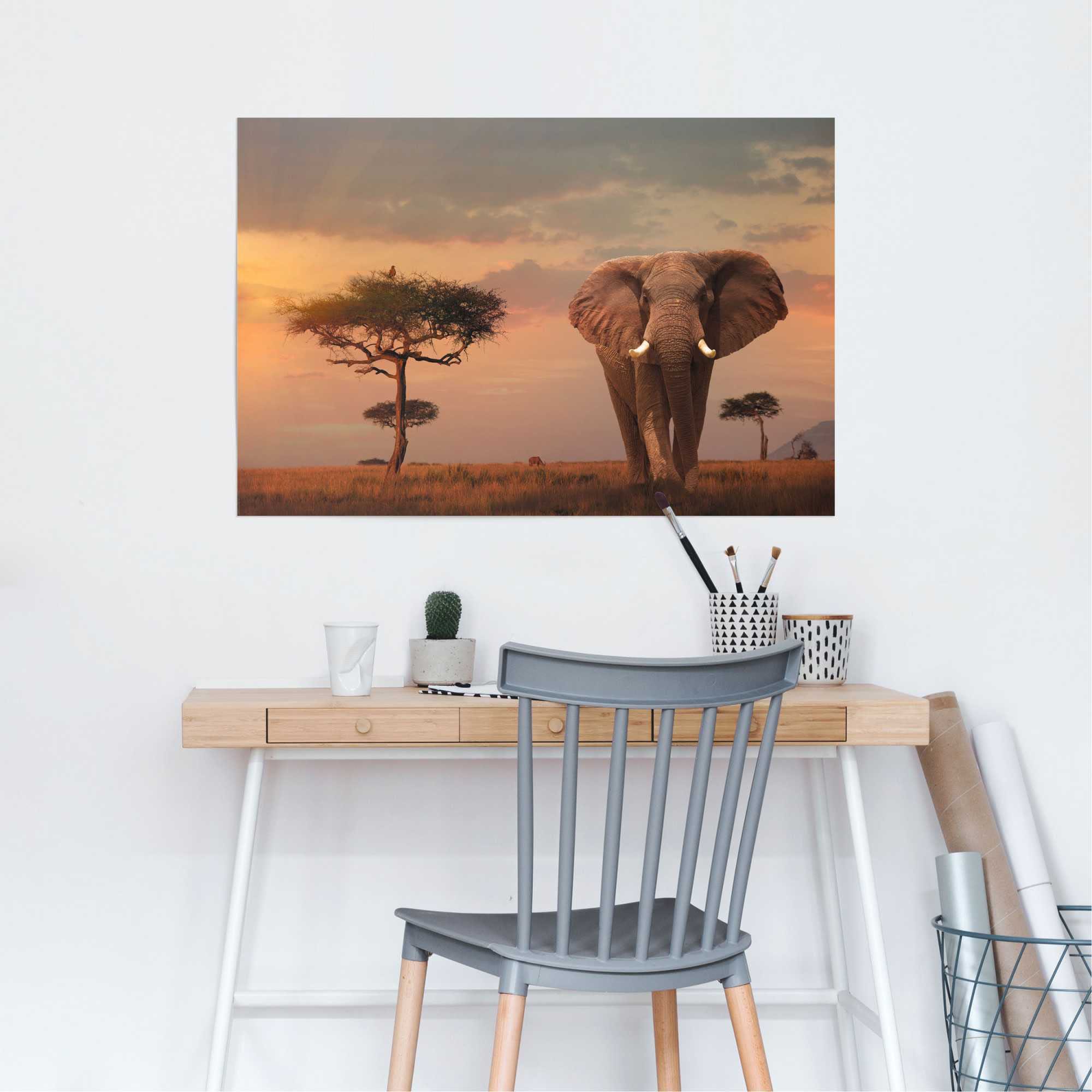 Reinders! Poster »Afrikas Wildtiere Elefant« 1 Stk. tlg.