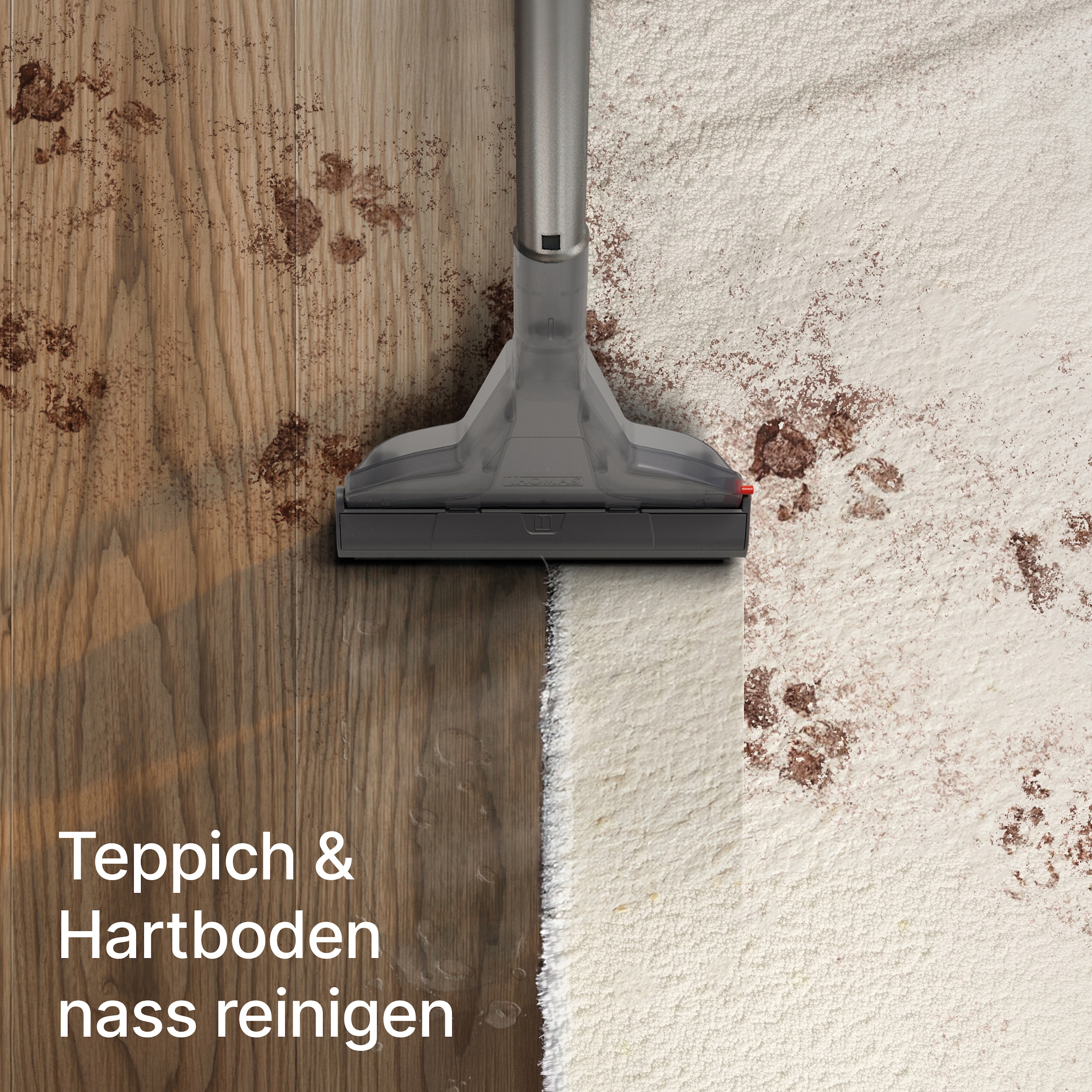 Thomas Staub-Wasch-Sauger »THOMAS PET & FAMILY PRO 4ALL«, mit 2-fach beutelloser Filtertechnologie