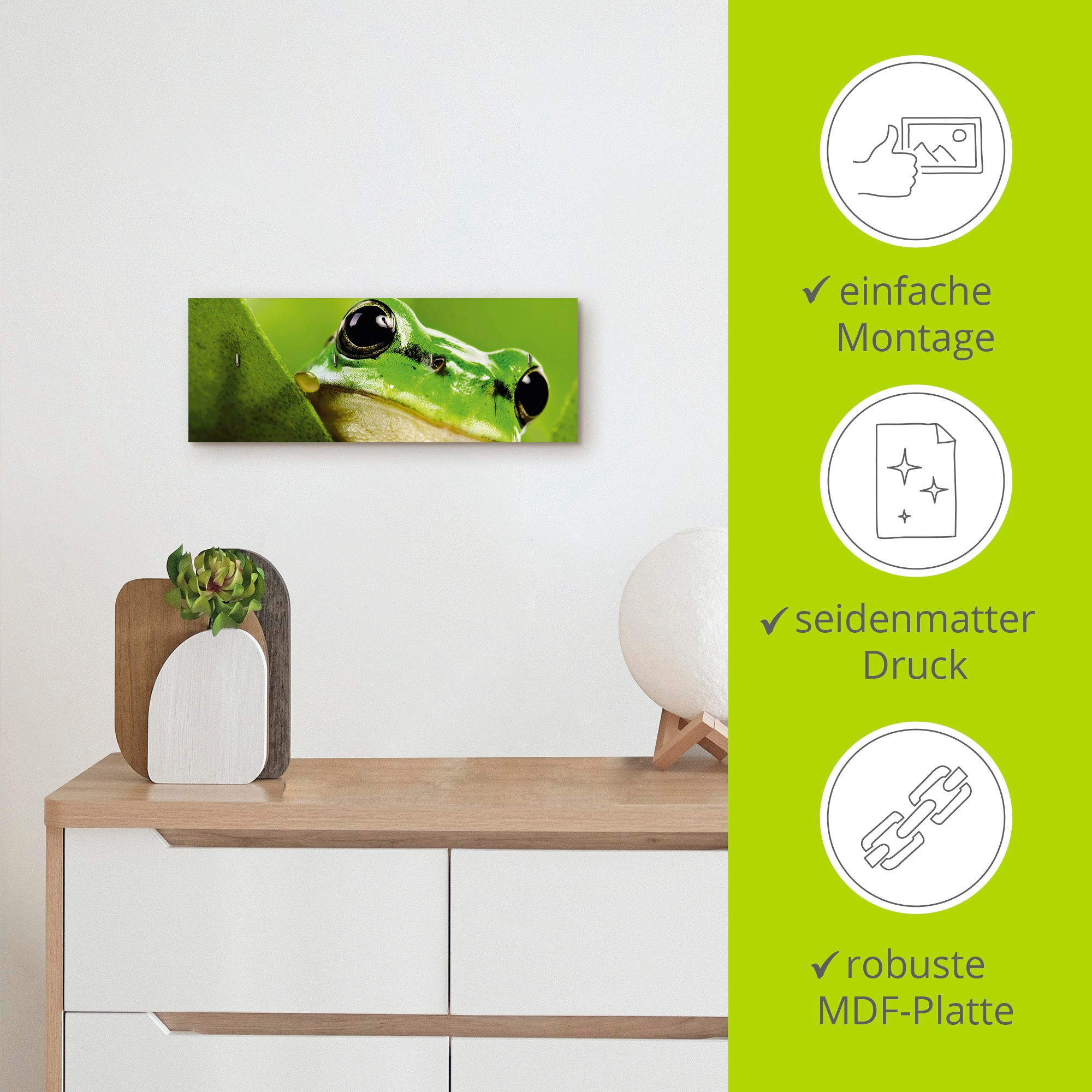 Artland Hakenleiste »Ausspähender Frosch«, MDF