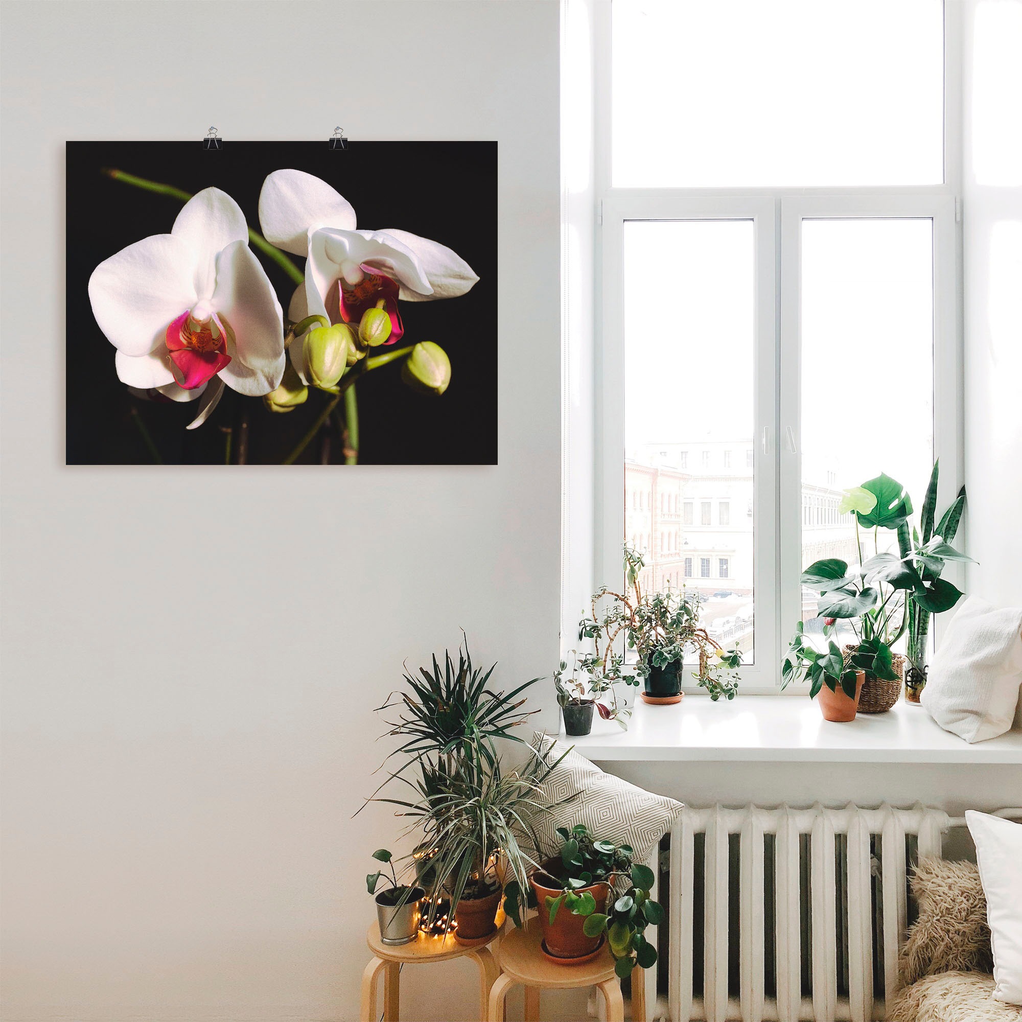 Artland Wandbild Poster Wandaufkleber in Raten oder St.), auf versch. »weiße Leinwandbild, Blumen, (1 kaufen als Orchidee«, Größen