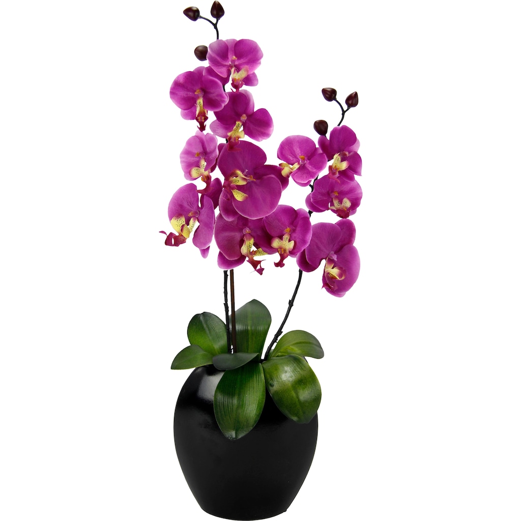 I.GE.A. Kunstpflanze »Phalaenopsis in Vase«