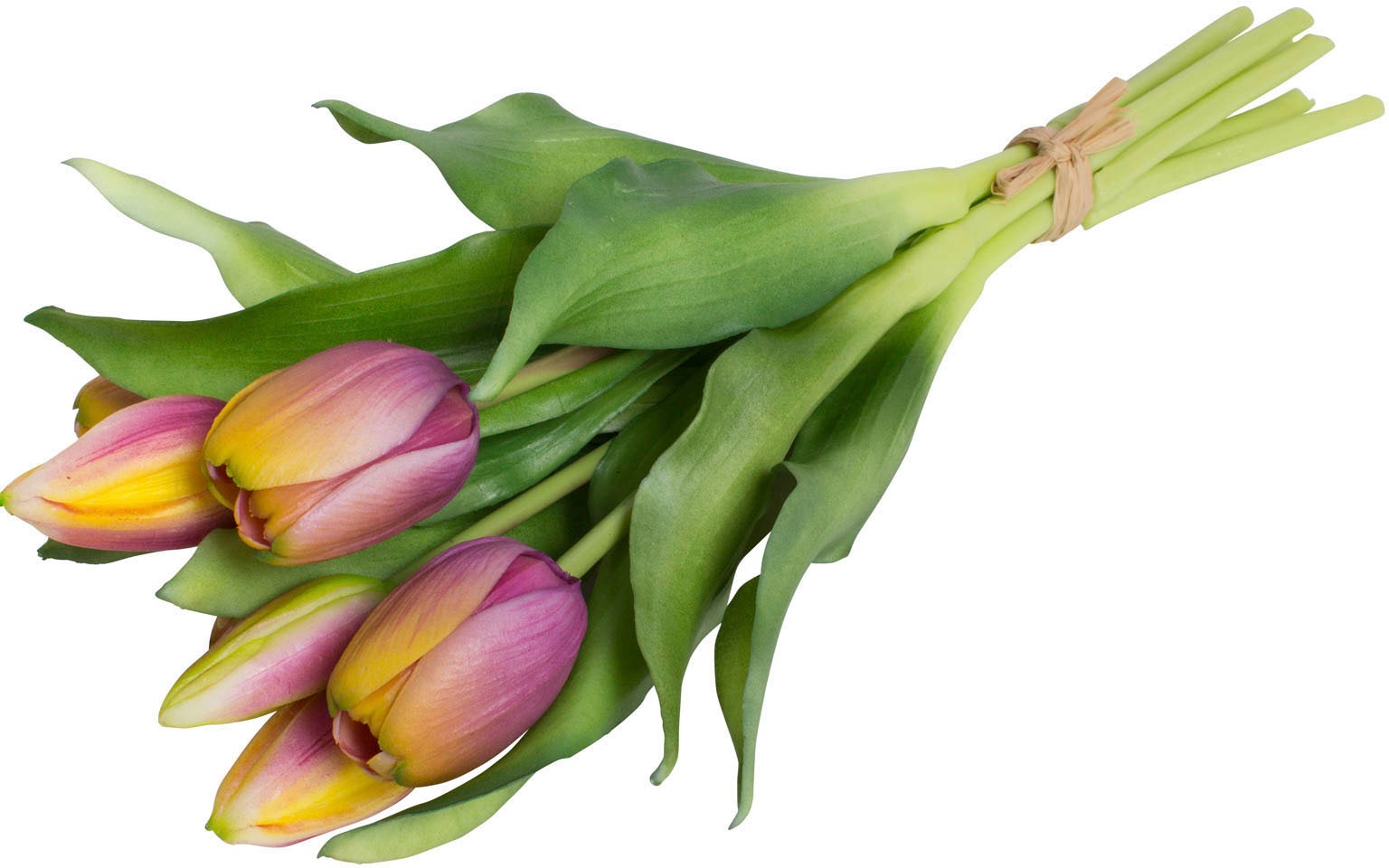 Botanic-Haus Kunstblume »Willa«, Tulpenbündel im 7er-Set