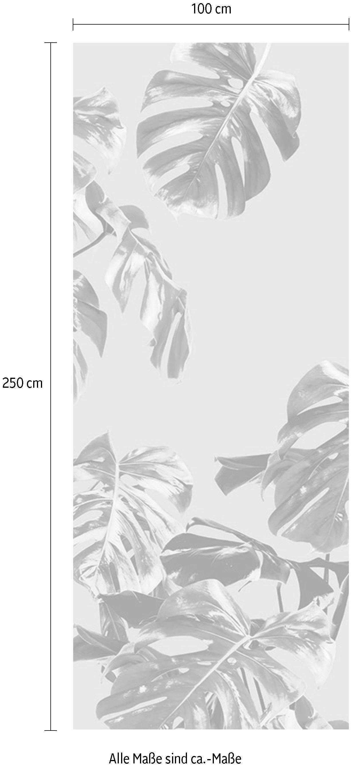 Komar Vliestapete »Digitaldruck Vlies -  Monstera Rosé Panel - Größe 100 x 250 cm« bedruckt glatt Wohnzimmer, Schlafzimmer