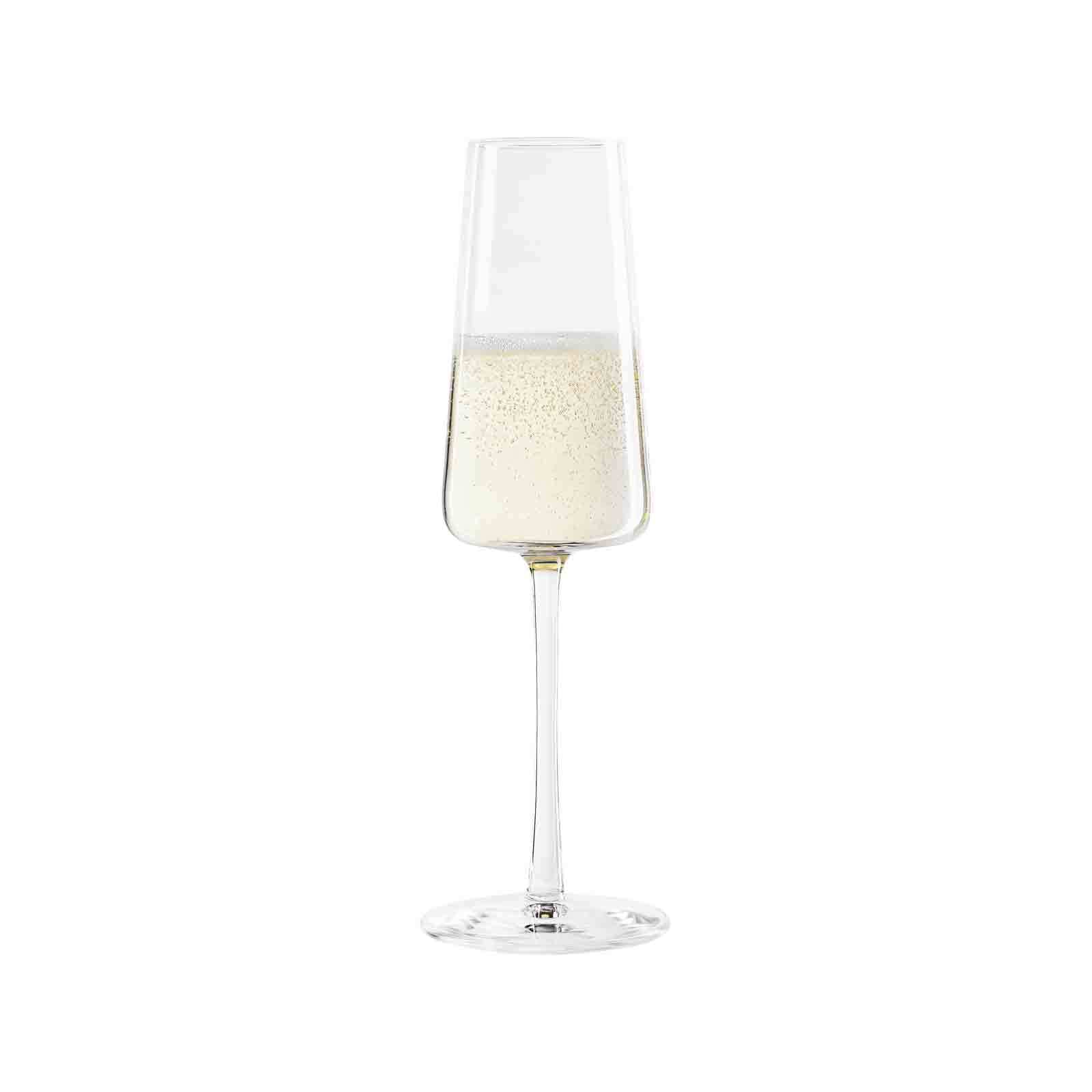 Stölzle Champagnerglas »Champagnergläser Power 240 ml 6er Set transparent«