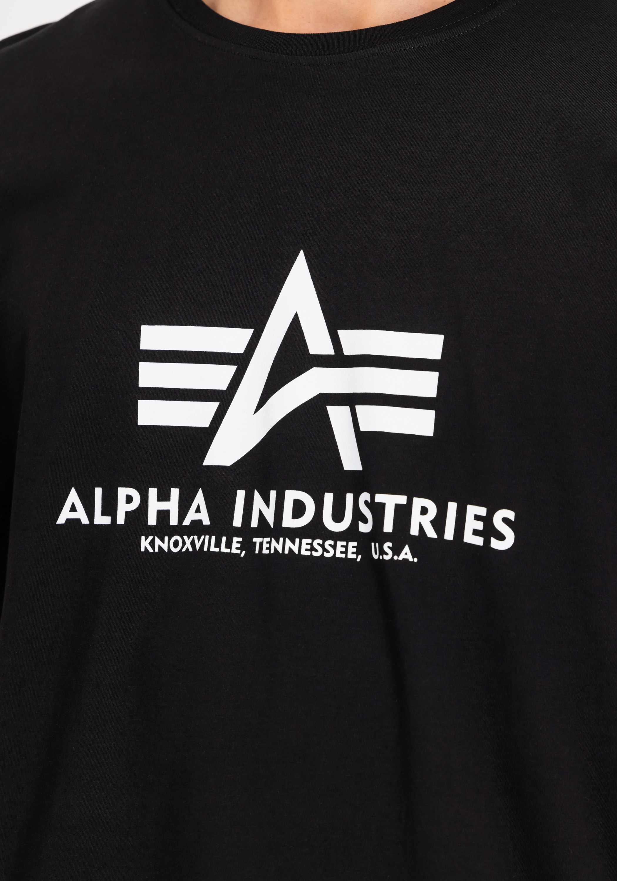 Alpha Industries T-Shirt »Basic T-Shirt BL 2 Pack«
