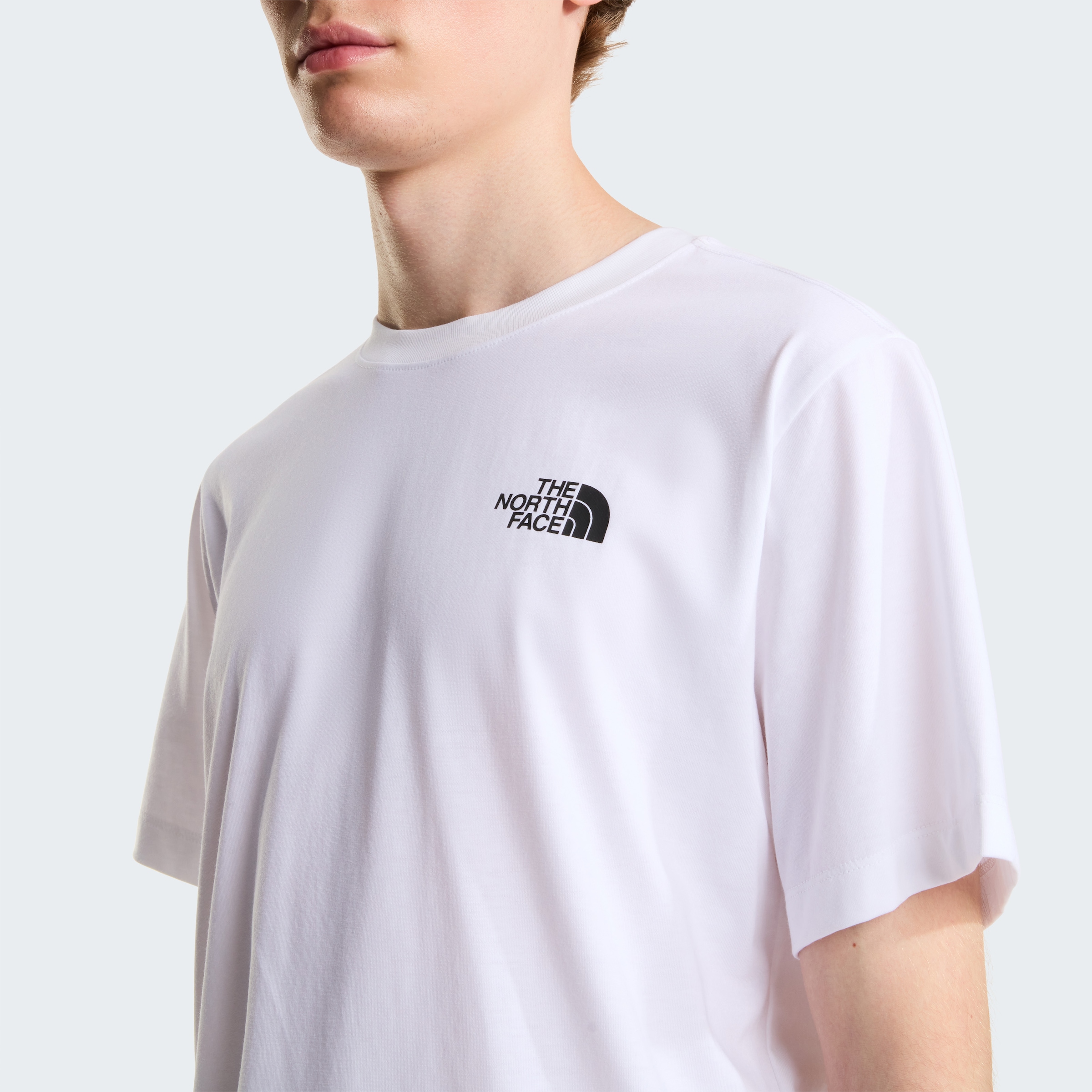 The North Face T-Shirt »M VERTICAL REGULAR SHORT SLEEVE TEE-GRAPHIC« normale Passform, kurze Ärmel, für Sportmode und Outdoormode