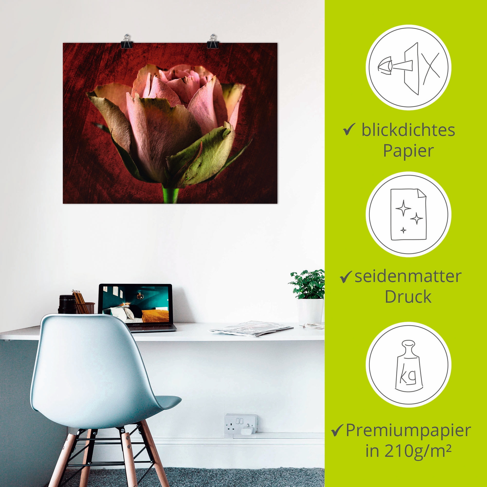 Artland Poster »Rosa Rose«, Blumen, (1 St.), als Leinwandbild, Wandaufkleber oder Poster in versch. Größen