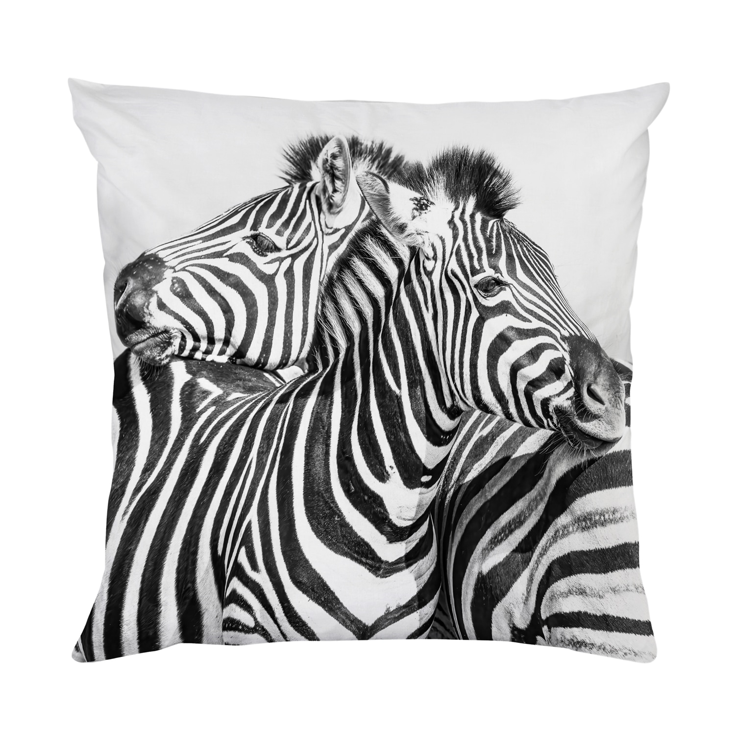 queence Dekokissen »Zebras«, Kissenhülle mit HD Premium Druck, geruchsneutral, 40x40cm