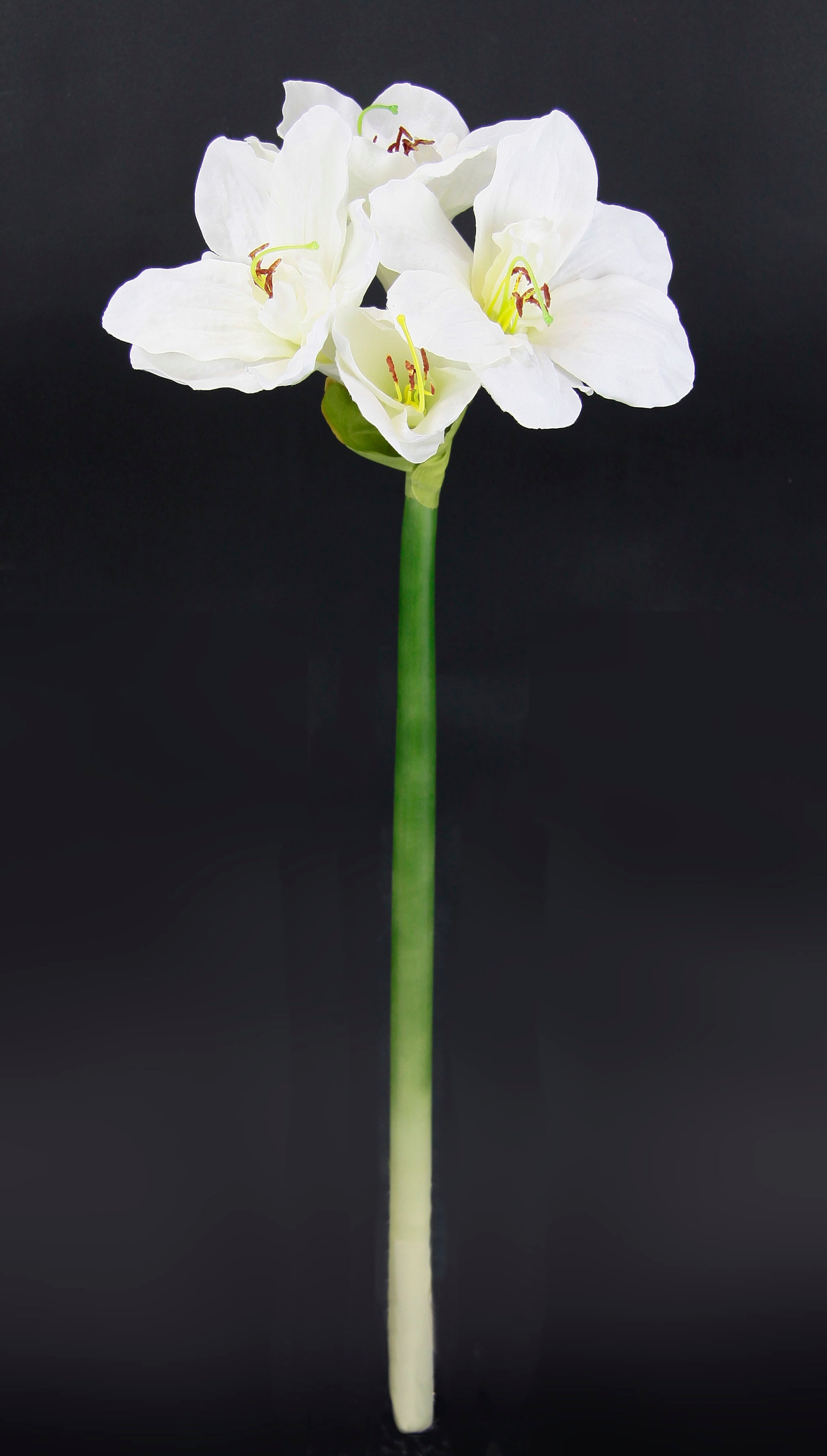 I.GE.A. Kunstblume »Amaryllis« Kunst-Stielblume, 3er Set