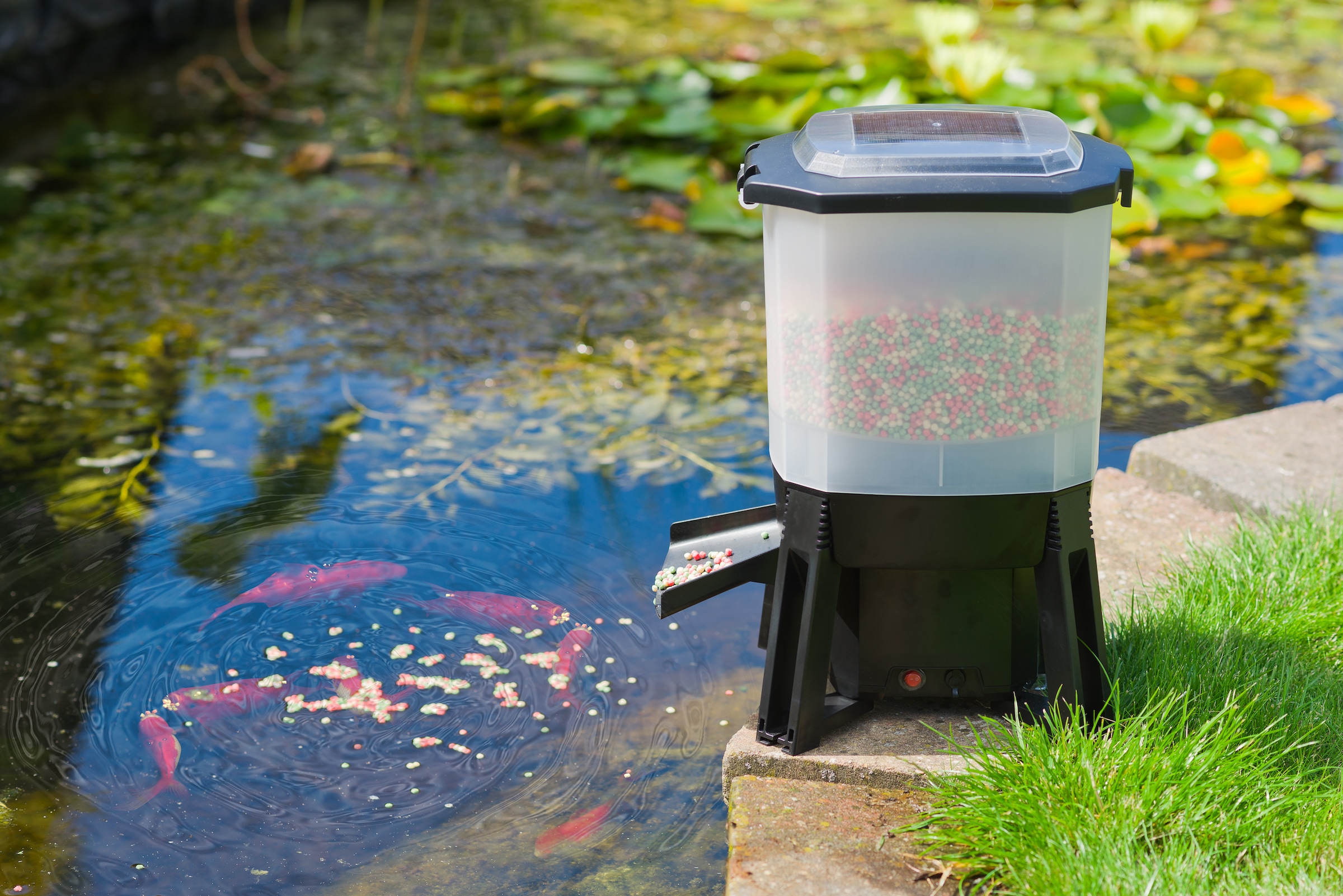 Ubbink Fisch-Futterautomat »Koi Feeder - SOLAR«, Solarbetrieben