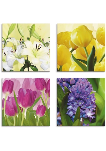 Leinwandbild »Tulpen Lilien Hyazinthe«, Blumen, (4 St.), 4er Set, verschiedene Größen