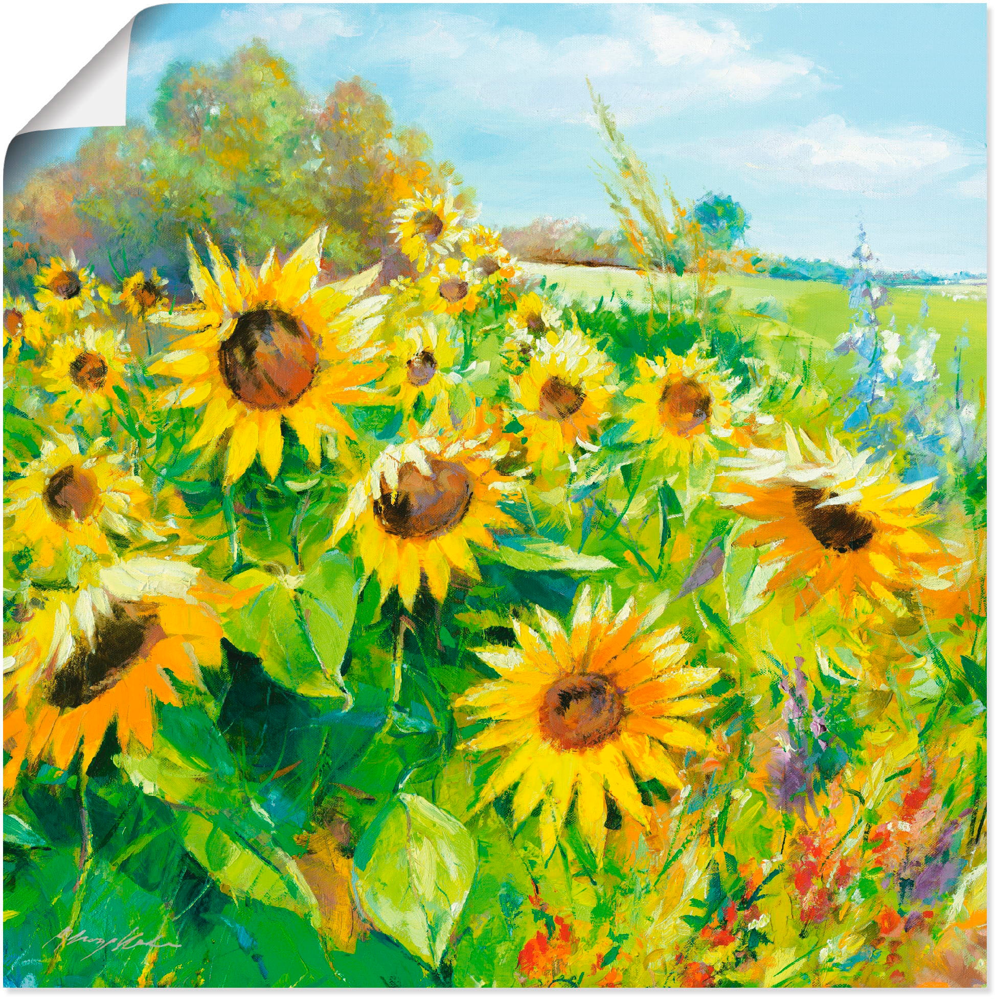 Artland Wandbild »Sommerwiese mit Sonnenblumen« Blumenwiese 1 Stk. tlg. als Leinwandbild, Poster in verschied. Größen
