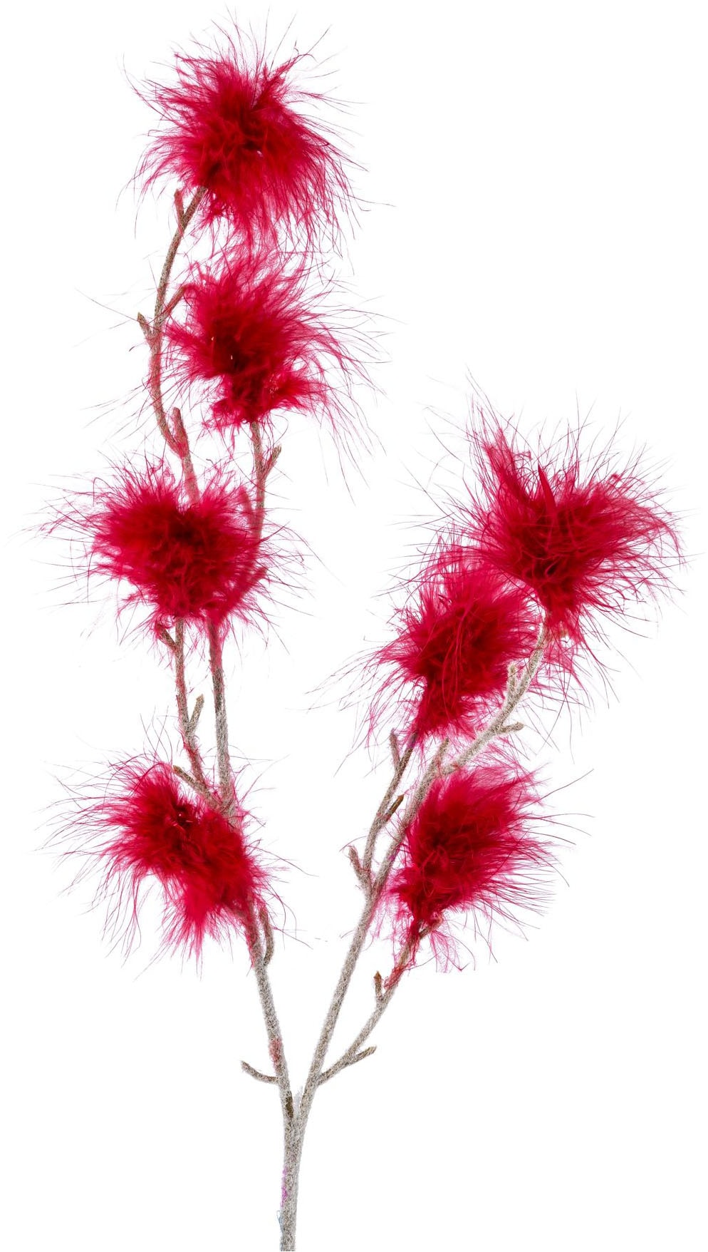 Creativ home Tischvase »Vase mit Federzweigen« für die moderne Einrichtung