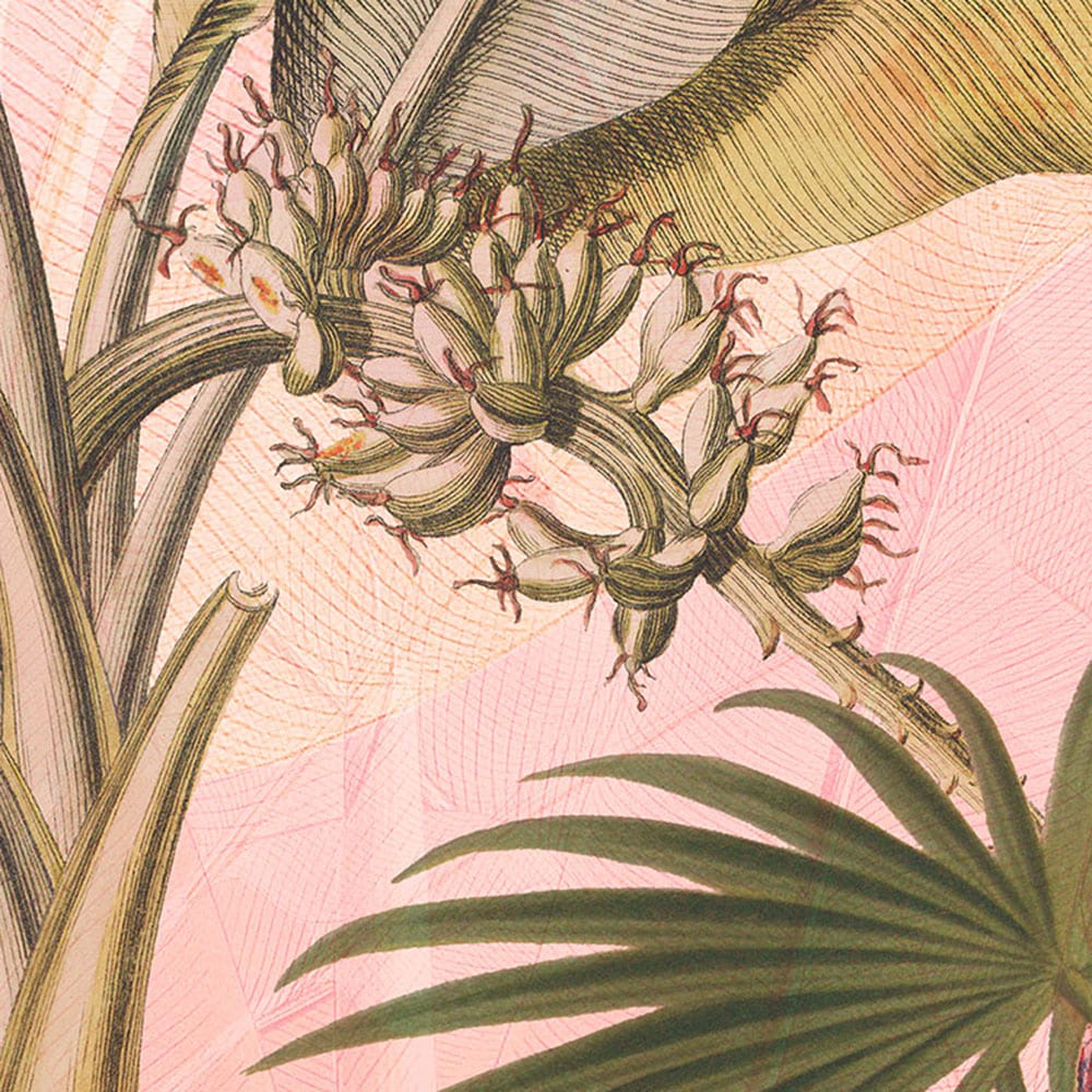 Komar Fototapete »Dot - selbstklebende Vlies Fototapete - Botany - Größe 125 x 125 cm« Motiv | bedruckt glatt