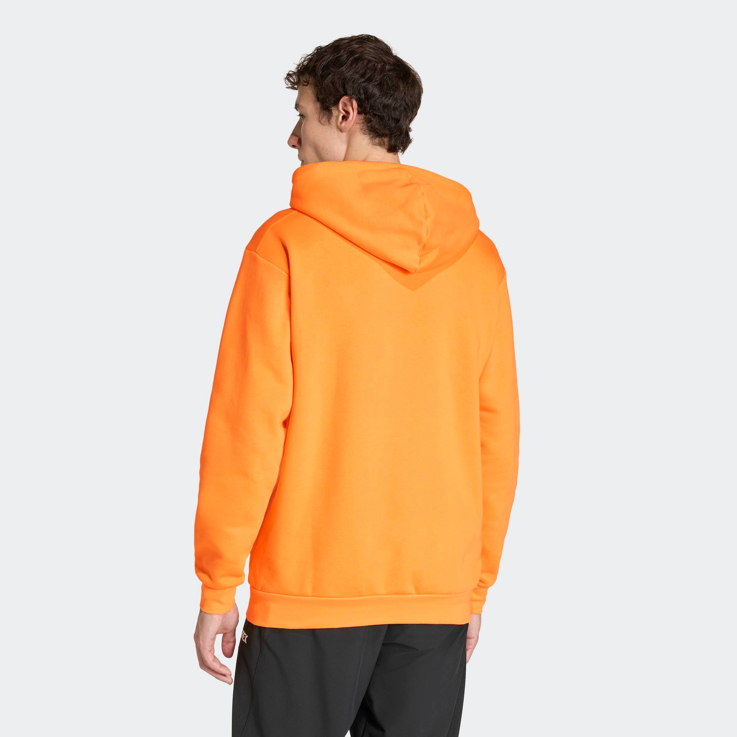 adidas TERREX Kapuzensweatshirt »MT L LOGO HD«
