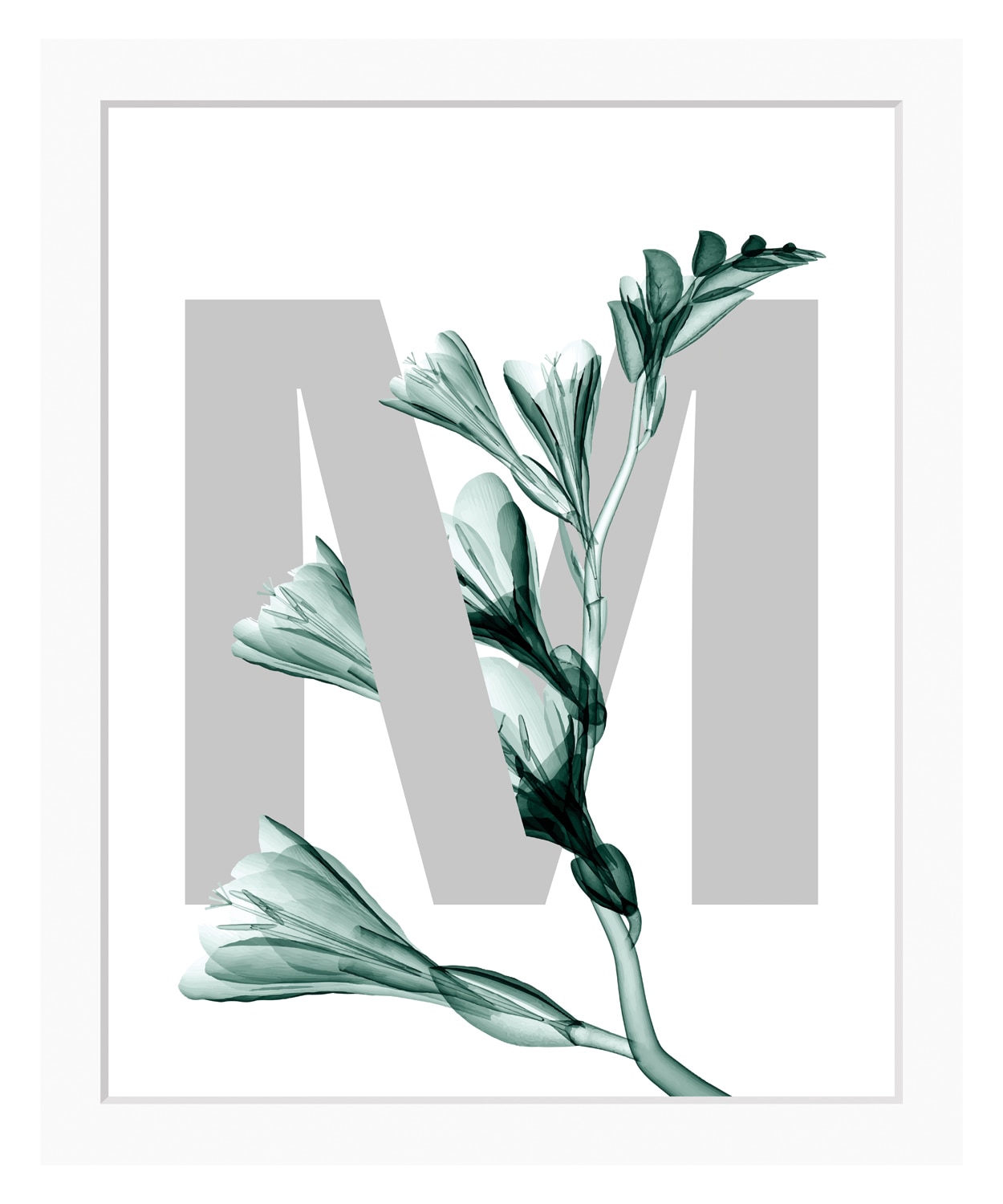 queence Bild »M-Flower«, Buchstaben, Blume, gerahmt, Blätter