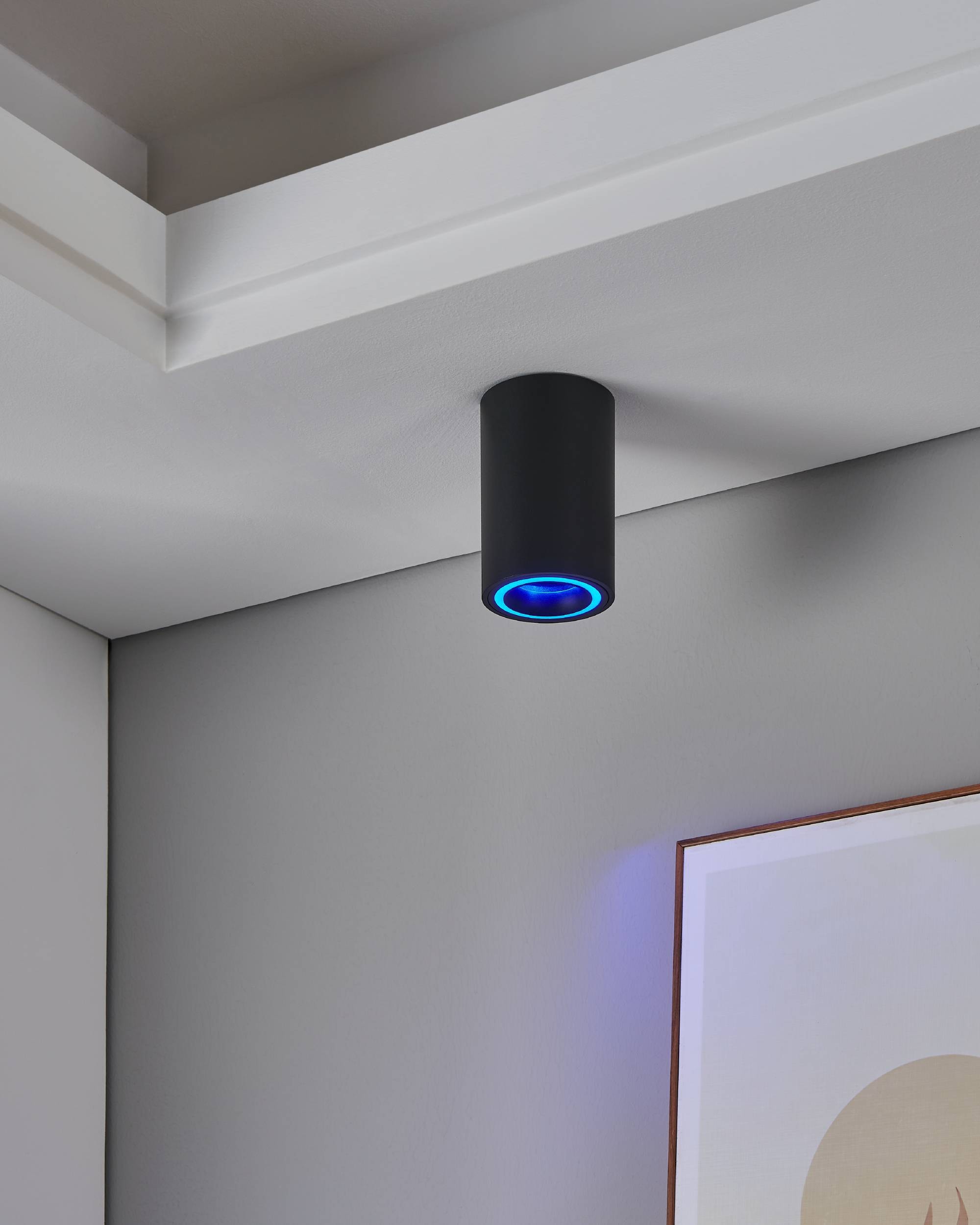 EGLO Aufbauleuchte »Carosso-Z Deckenlampe, ZigBee, App und Sprachsteuerung, dimmbar, Metal« GU10 1 Stk. Aufbauleuchte - H12 x Ø8 cm - schwarz - 1X4,9W inkl.