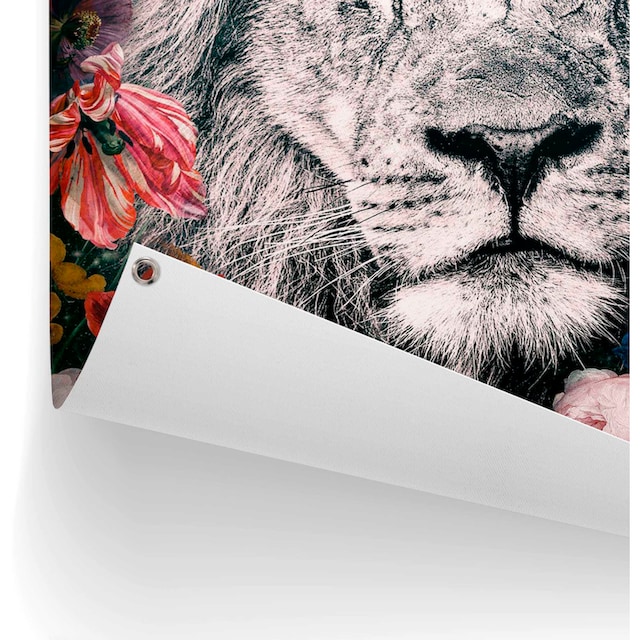Reinders! Poster »Löwe« auf Rechnung kaufen