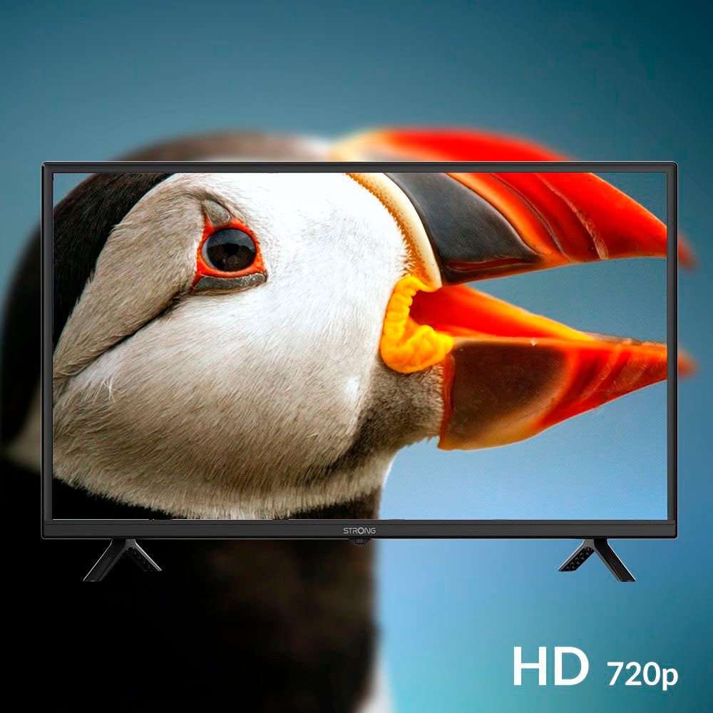 Strong LCD-LED Fernseher »SRT 32HF2003«, HD, DVB-T2/C/S2
