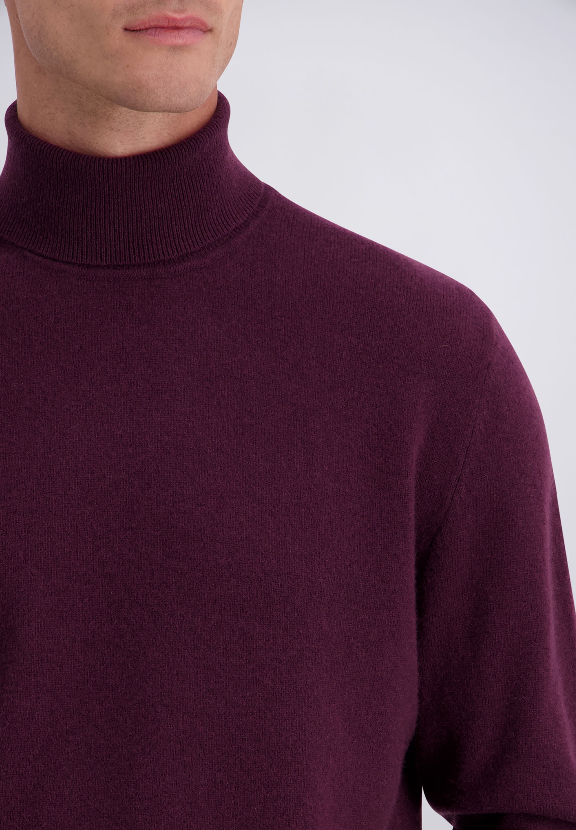 Pierre Cardin Rollkragenpullover »Pierre Cardin Pullover« in schlicht zeitlosem Design