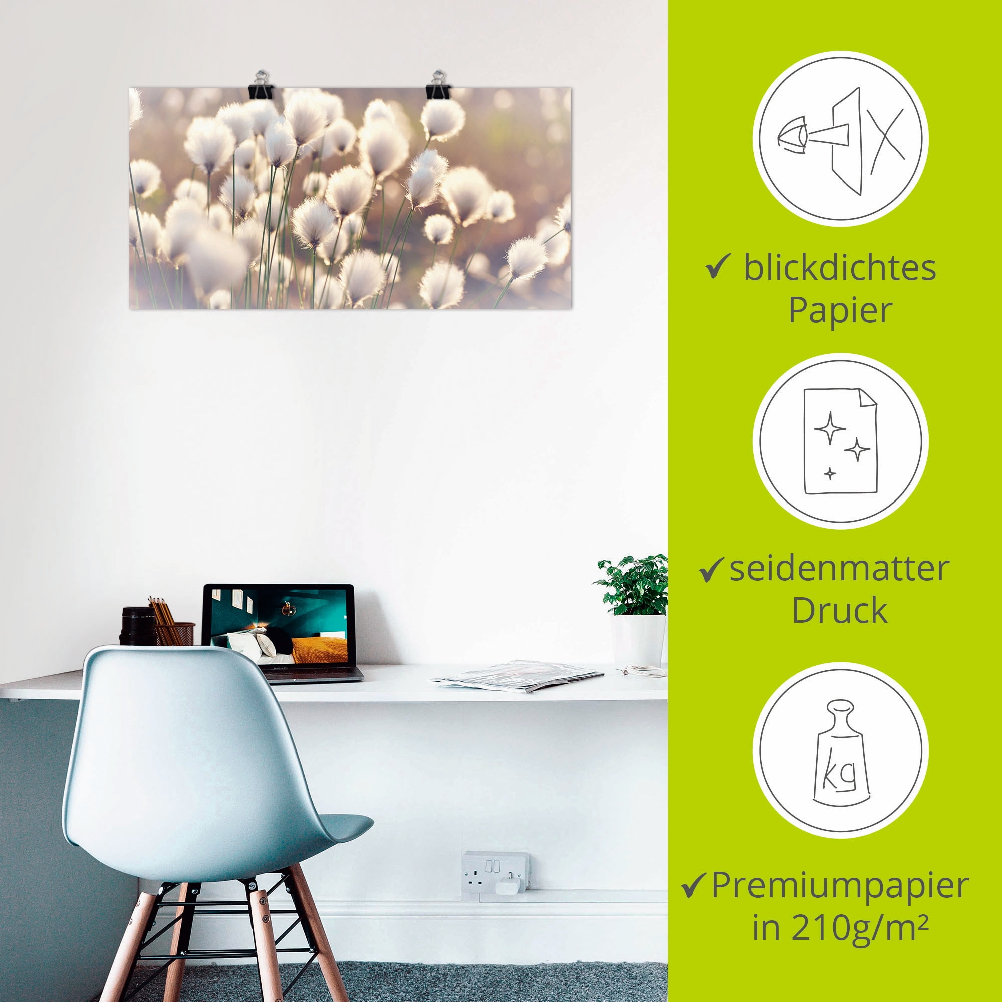 Artland Wandbild »Wollgraszauber im Moor«, Gräser, (1 St.), als Alubild, Outdoorbild, Leinwandbild, Poster, Wandaufkleber