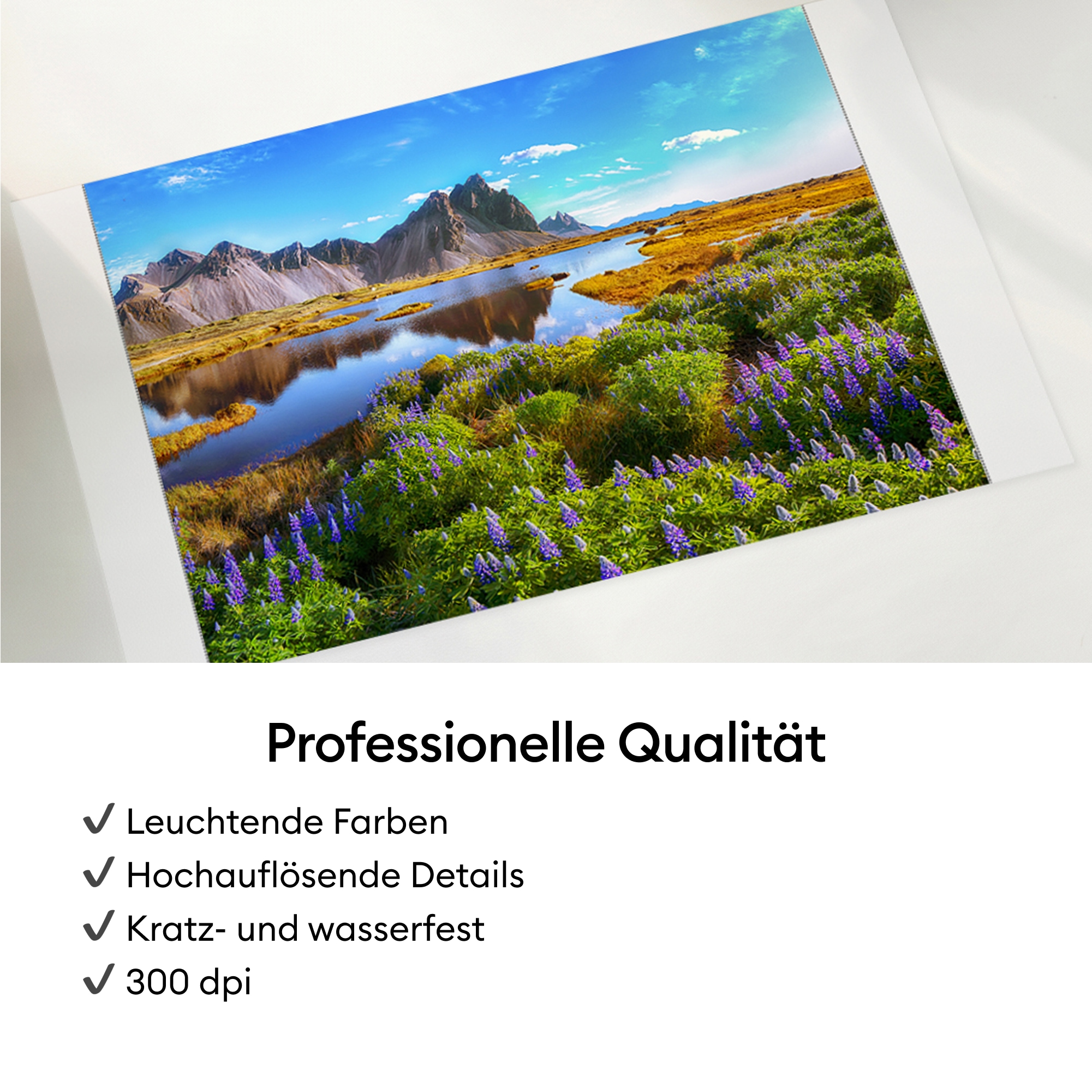 Cricut Fotodrucker »StickerPix Print™ Essential Bundle« Sticker- und Fotodrucker