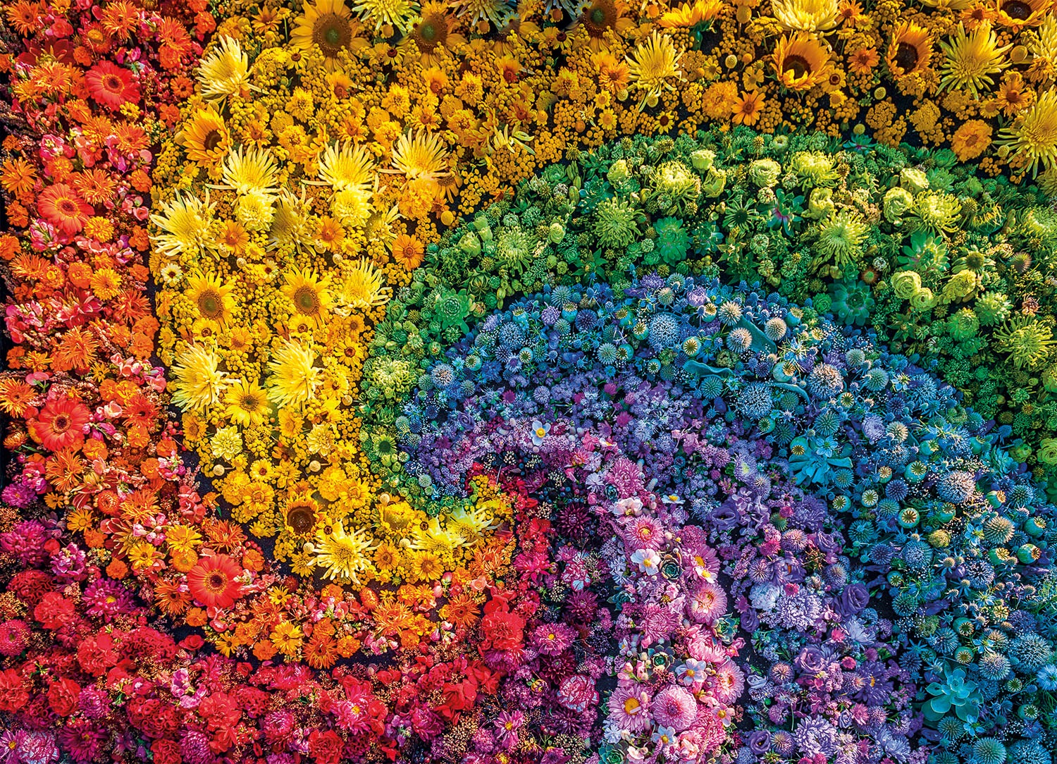 Clementoni® Puzzle »Colorboom Collection, Whirl«, Made in Europe