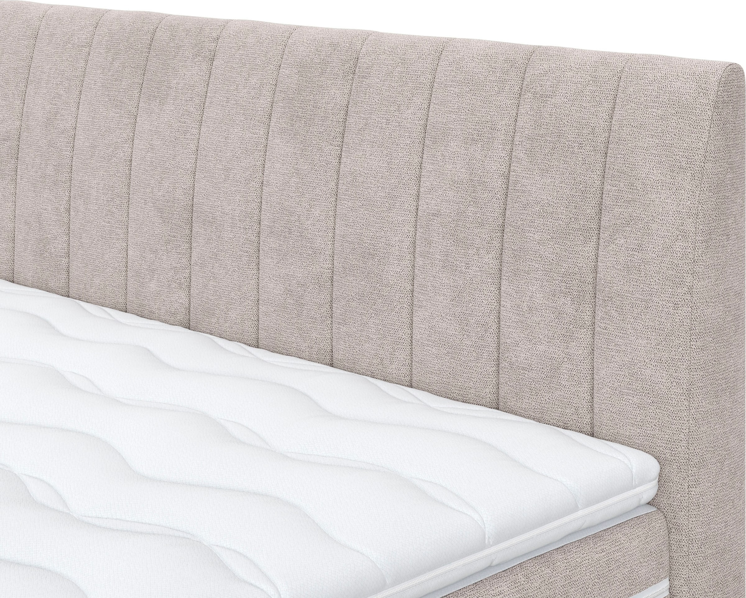 COTTA Boxspringbett »Shark inkl. Bettkasten und Topper«, erhältlich in den Breiten 140x200cm, 160x200cm und 180x200cm