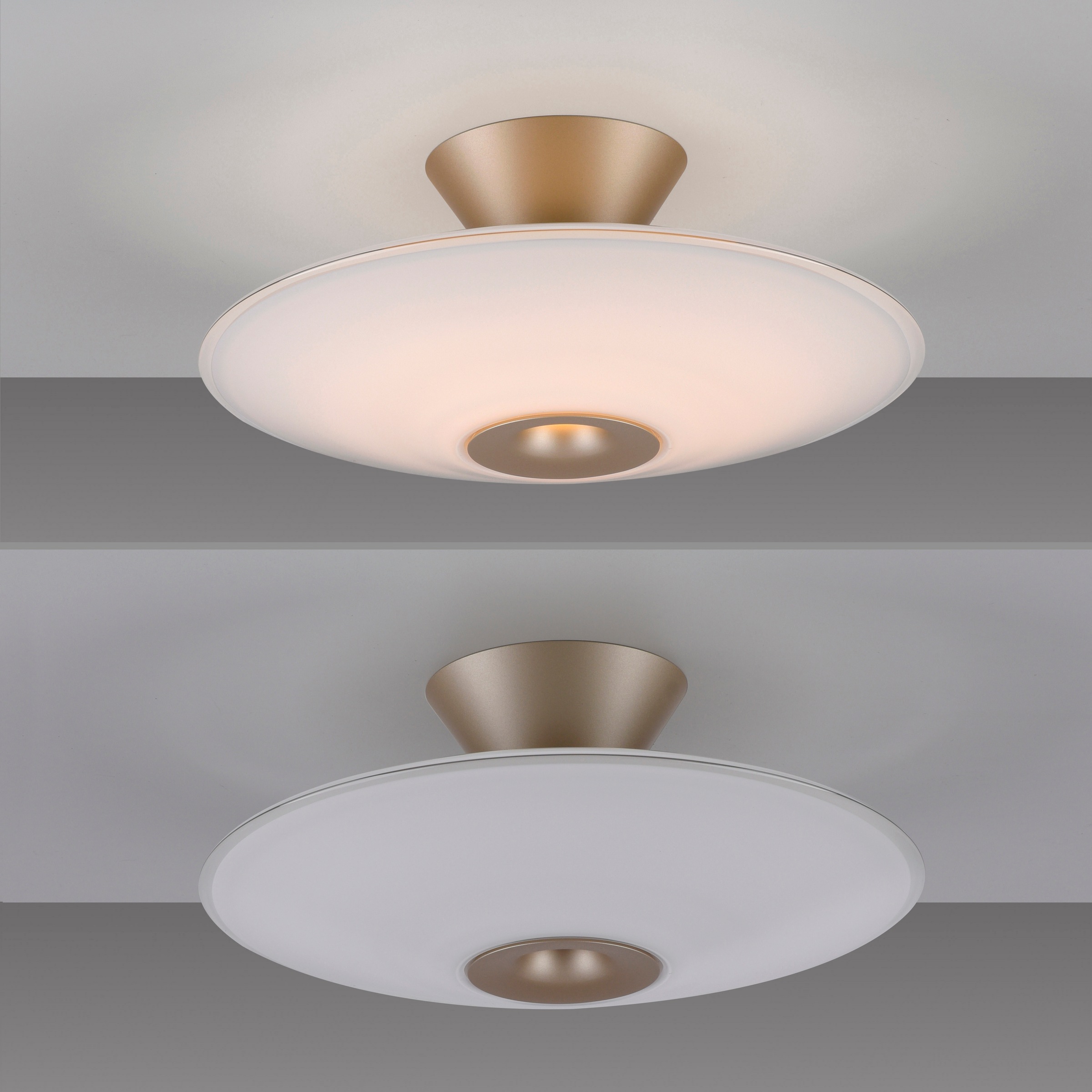 Paul Neuhaus LED Deckenleuchte »ELIPSA« LED-Board 1 Stk. Warmweiß Dimmfähig über separaten Tronicdimmer, Opalglas