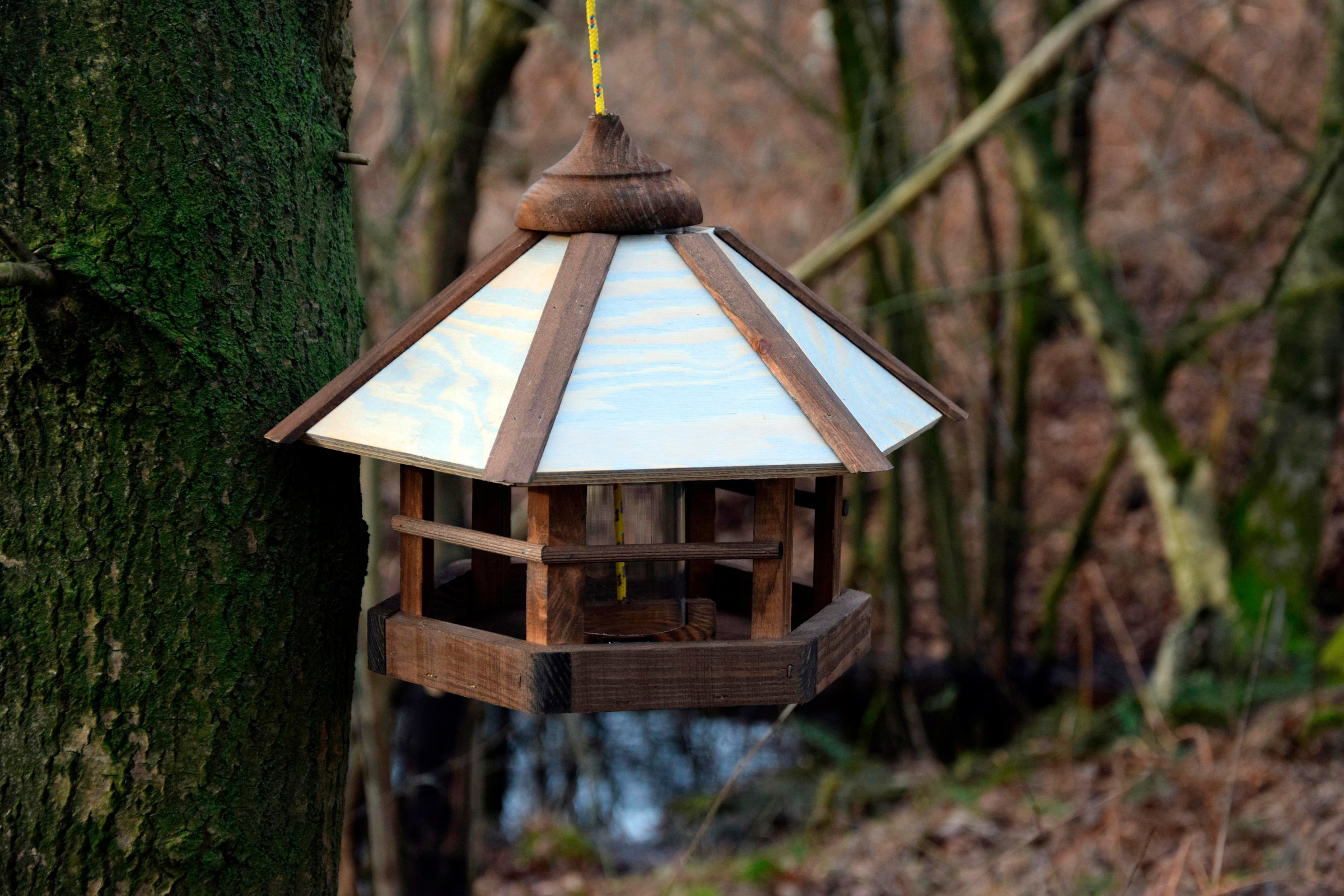 Luxus Vogelhaus Futterhaus zum aufhängen, hängend V13