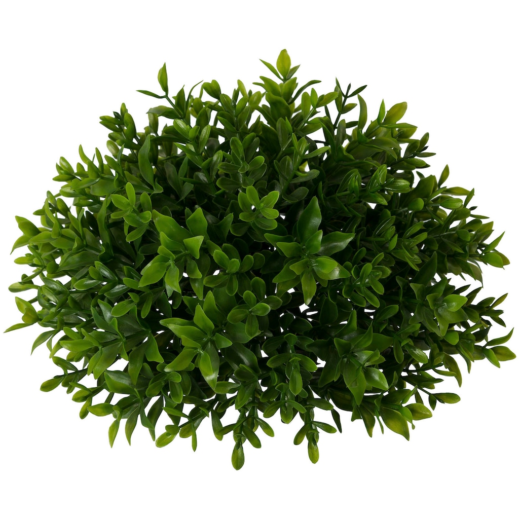 Creativ green Kunstpflanze »Buchsbaumhalbkugel«, 3er Set