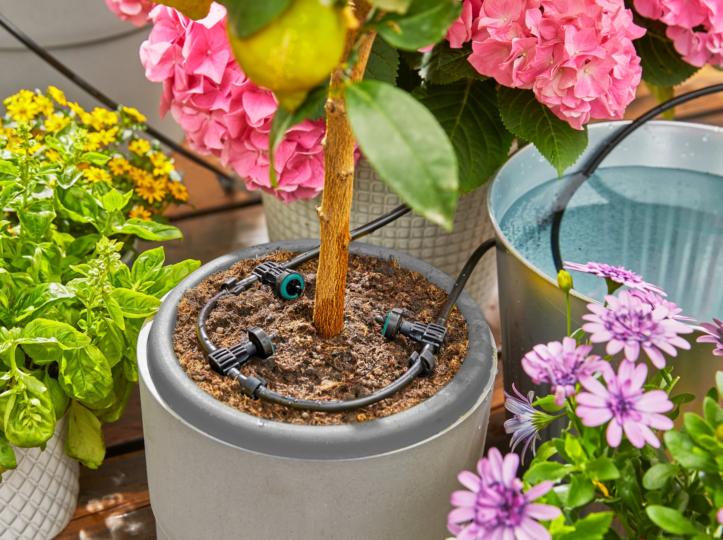 GARDENA Bewässerungssystem »Solar-Bewässerung AquaBloom Set« ()  Das solarbetriebene Bewässerungs-Set für Balkon und Terrasse