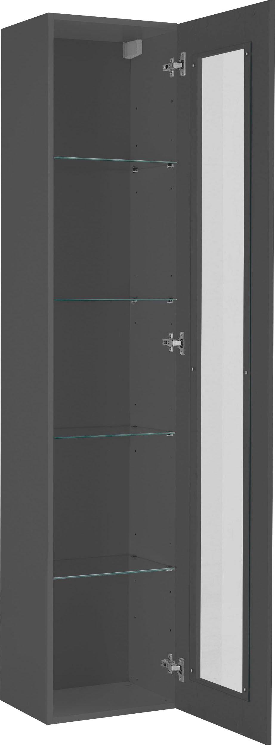 INOSIGN Vitrine »Maruska«, (1 St.), Glasvitrine, Stauraumvitrine, stehend und hängend montierbar
