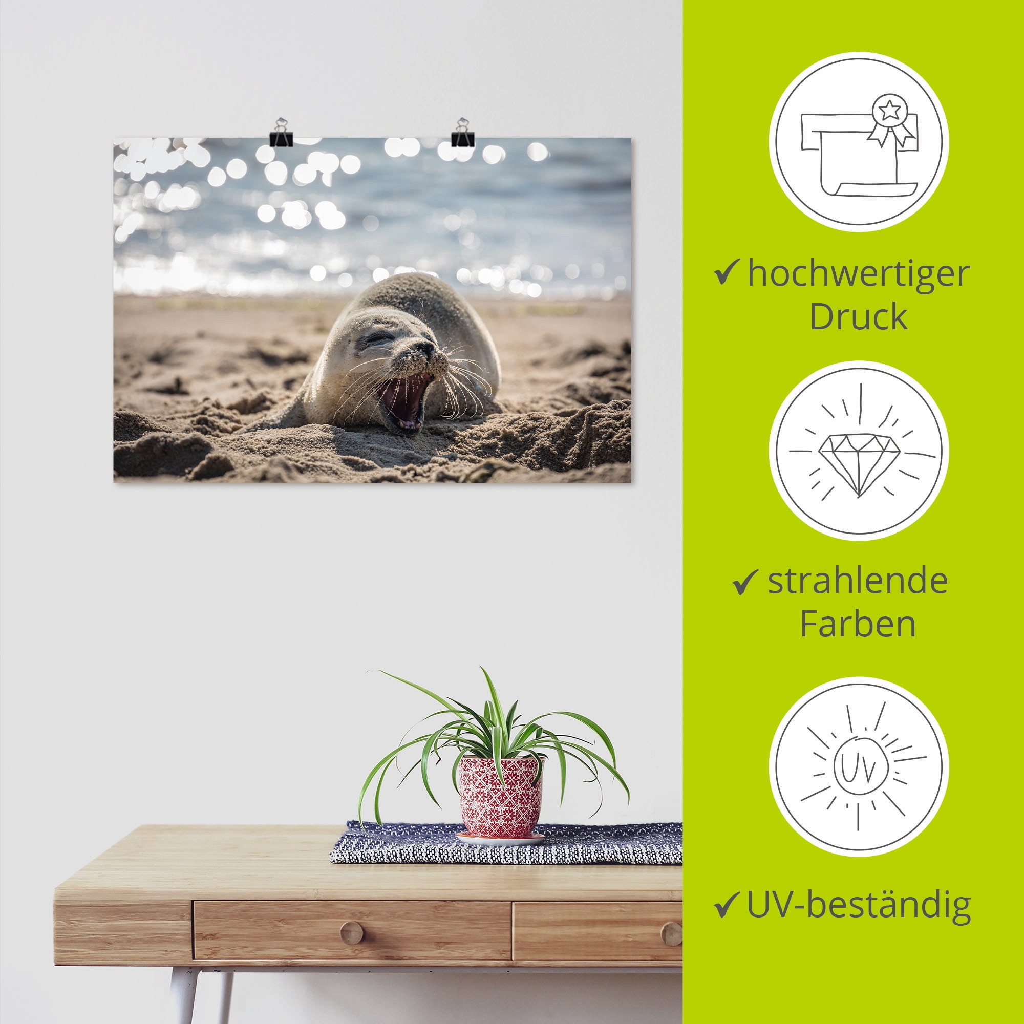 Artland Wandbild »Baby-Robbe am Strand von List, Sylt«, Robben, (1 St.), als Poster, Wandaufkleber in verschied. Größen