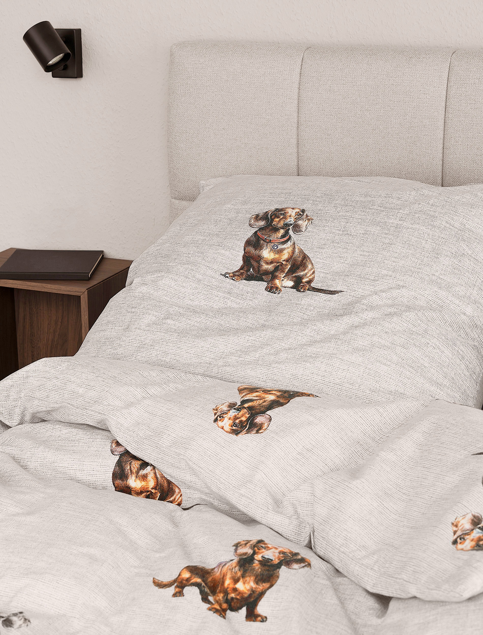 Irisette Bettwäsche »Zobel 8921« 2 Flausch-Cotton, 2 teilig, samtig weich