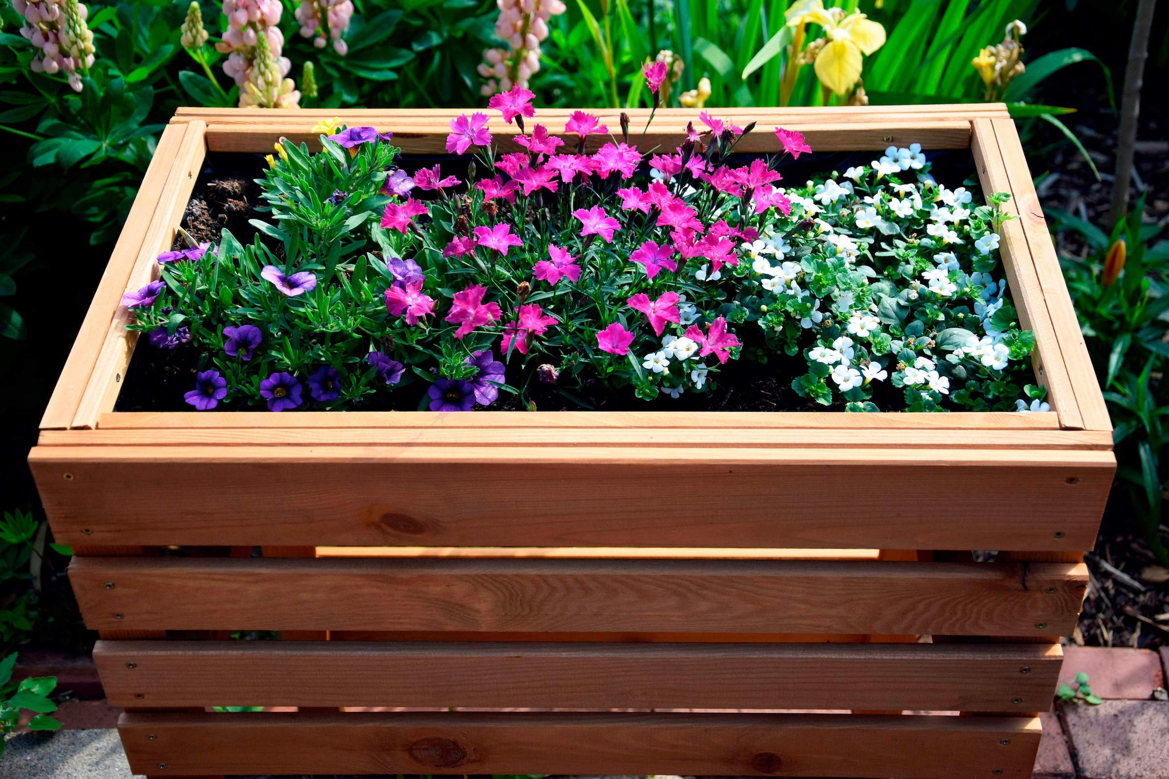 dobar Hochbeet »Gr. M«, BxTxH: 58x36x71 cm