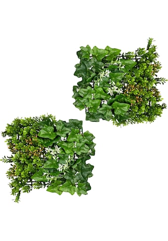 Creativ green Künstliche Zimmerpflanze »Blättermatte Buchsbaum-Efeumix«, (2 St.), 2er Set kaufen