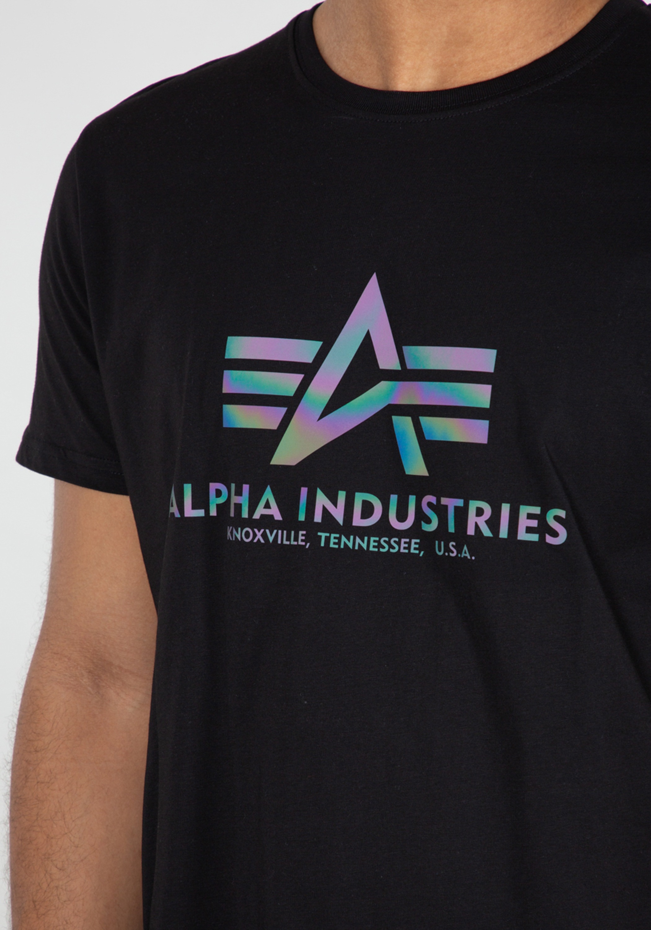 Alpha Industries T-Shirt »Basic T-Shirt BL Rainbow Ref.«