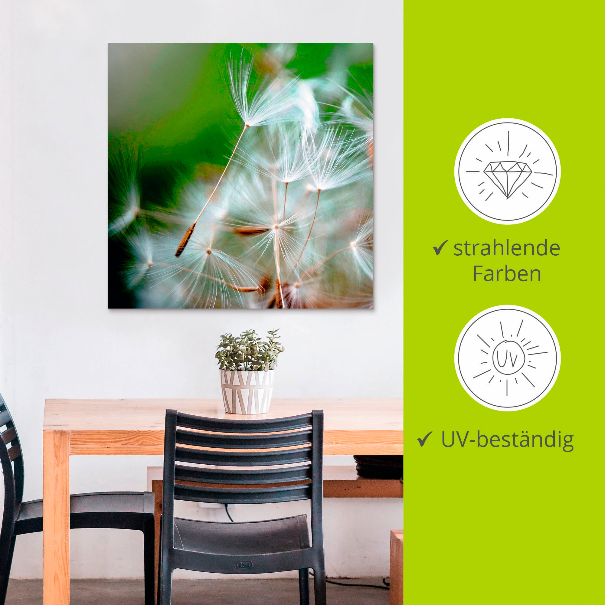 Artland Alu-Dibond-Druck »Pusteblume kuschelweich«, Blumen, (1 St.), für Innen- und Außenbereich geeignet, Outdoorbild