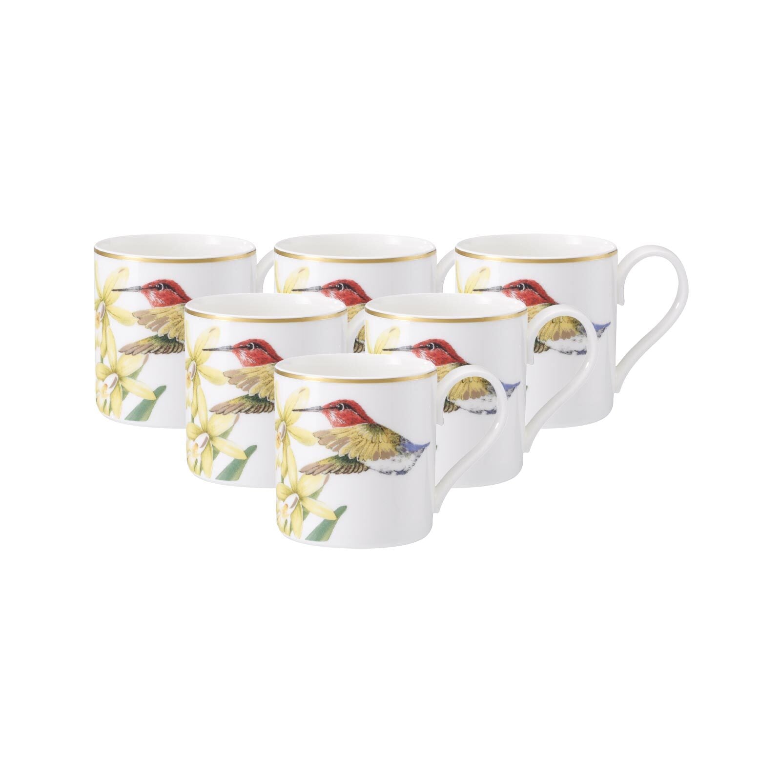 Villeroy & Boch Espressotasse »Mokka- / Espressotassen Amazonia 80 ml 6er Set bunt«