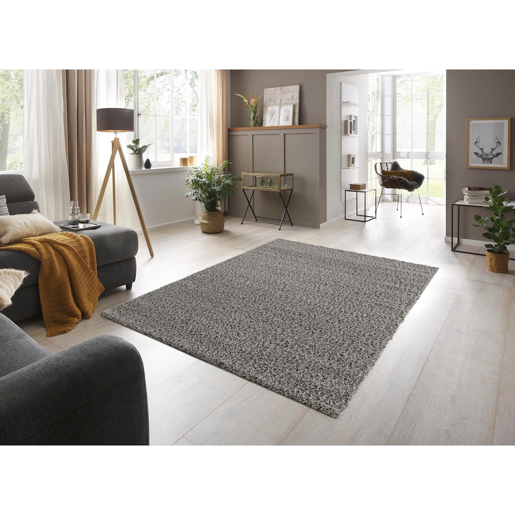 andas Hochflor-Teppich »Saron«, rechteckig