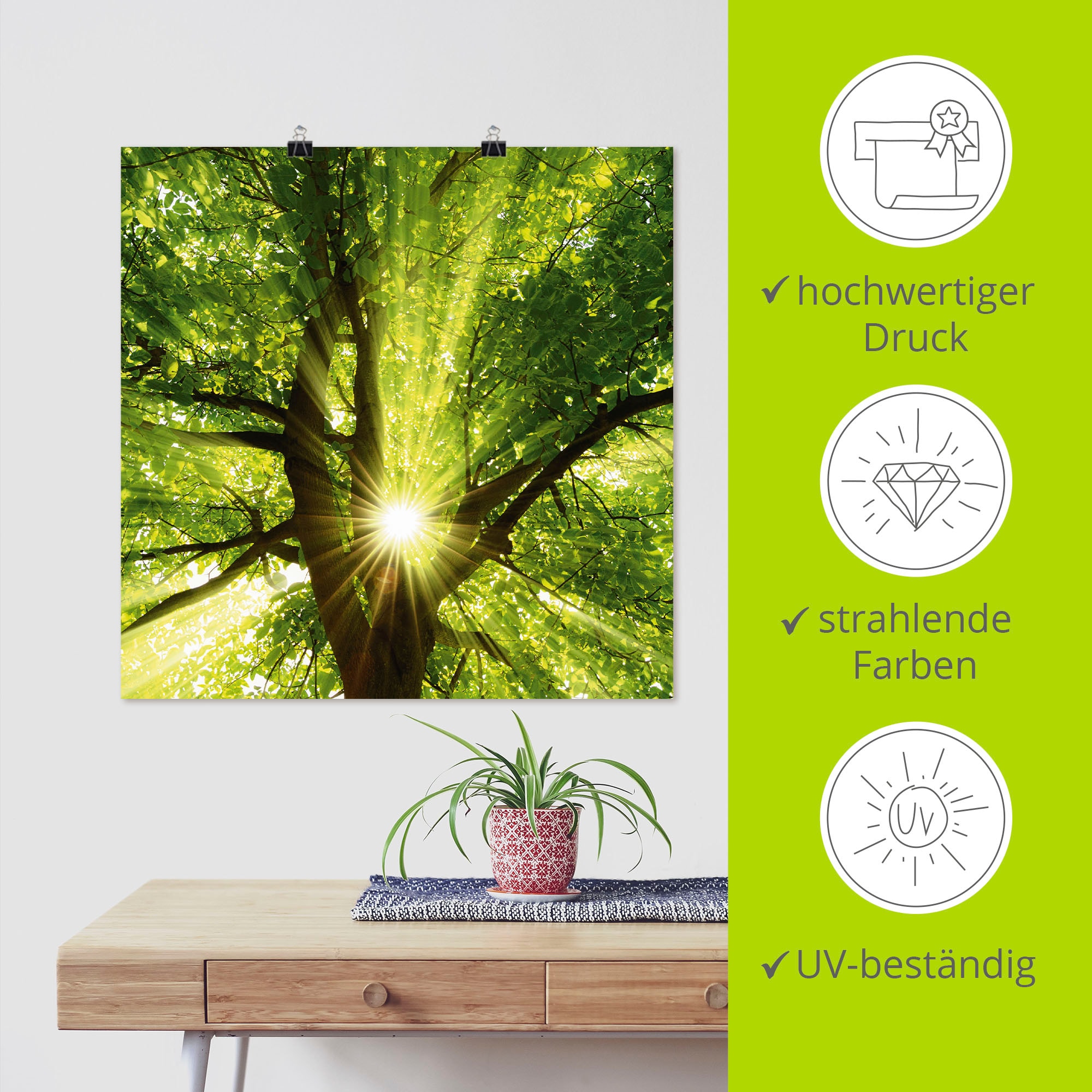 Artland Wandbild »Sonne strahlt explosiv durch den Baum« Bäume 1 Stk. tlg. als Leinwandbild, Poster in verschied. Größen