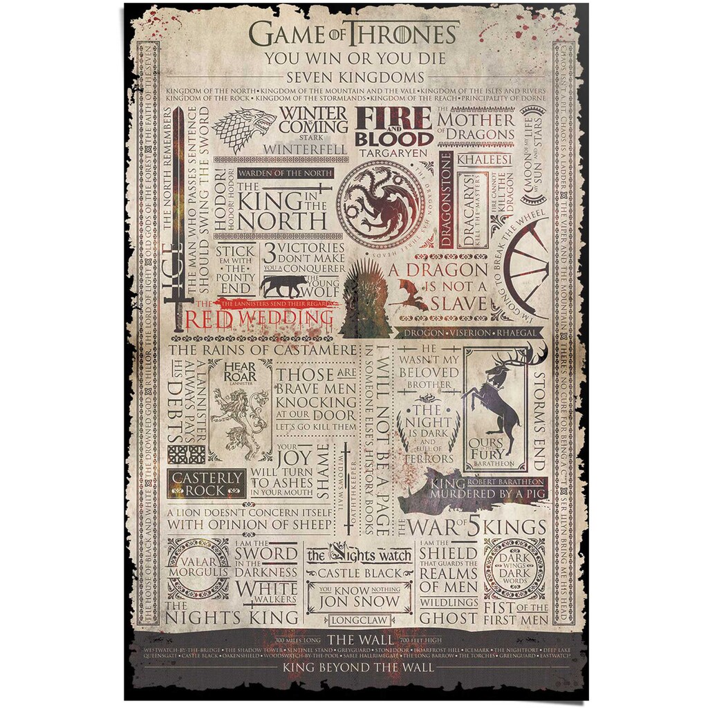 Reinders! Poster »Game of Thrones Infografik«, (1 St.)